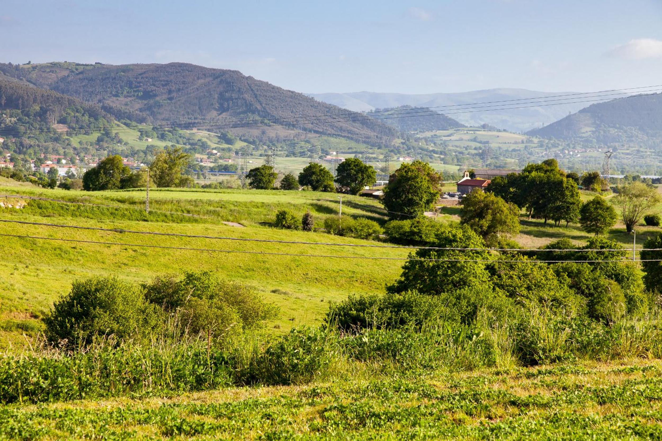 Cabanas La Senda de los elefantes Cabarceno - Property Image 141