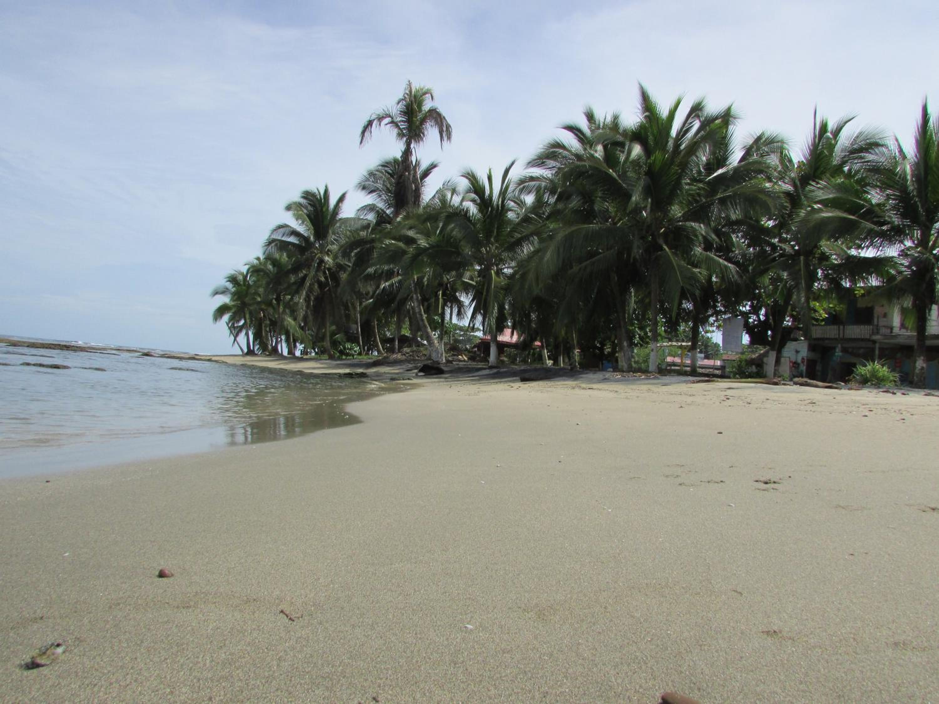El Jardin de Playa Negra