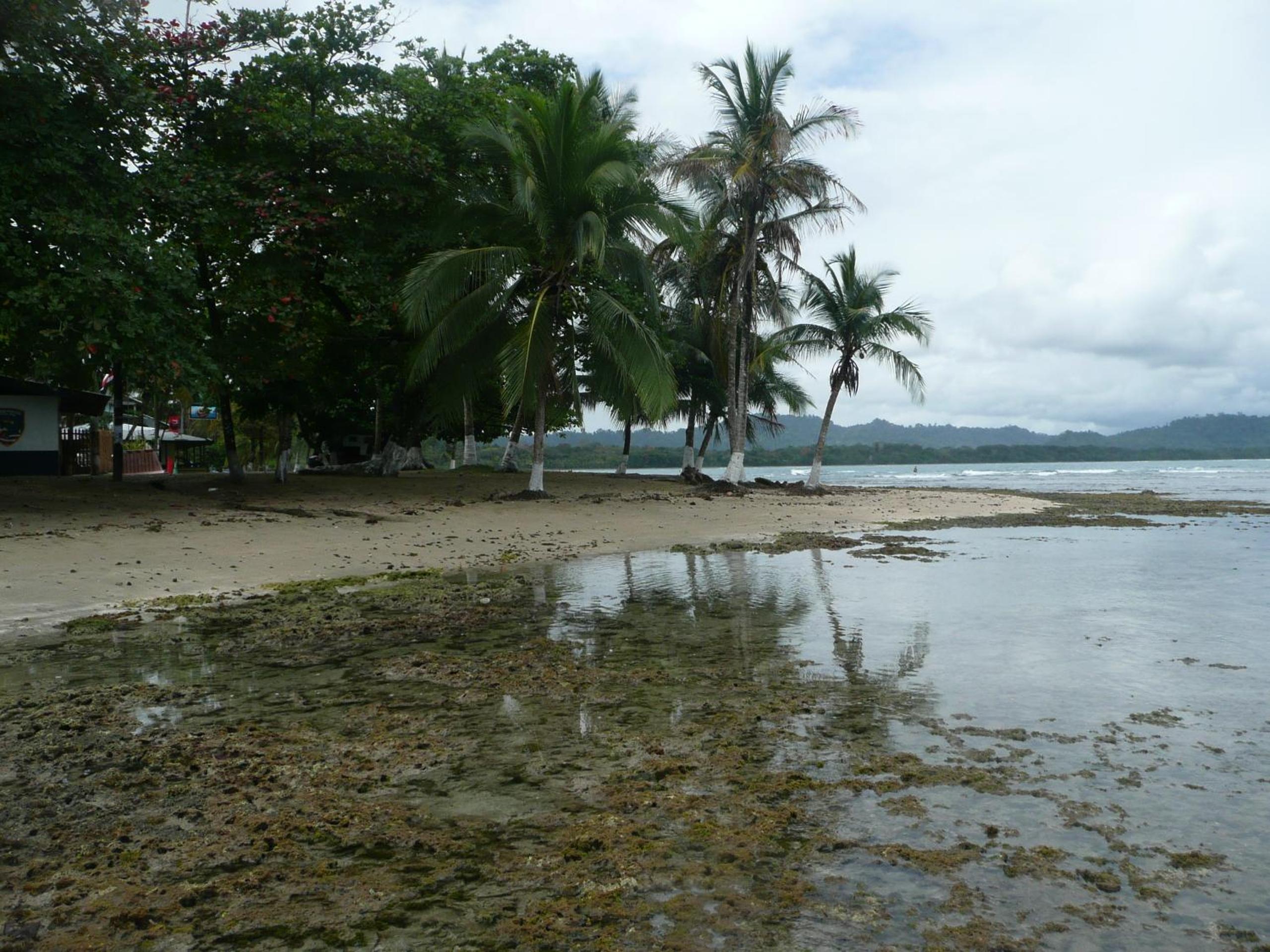 El Jardin de Playa Negra