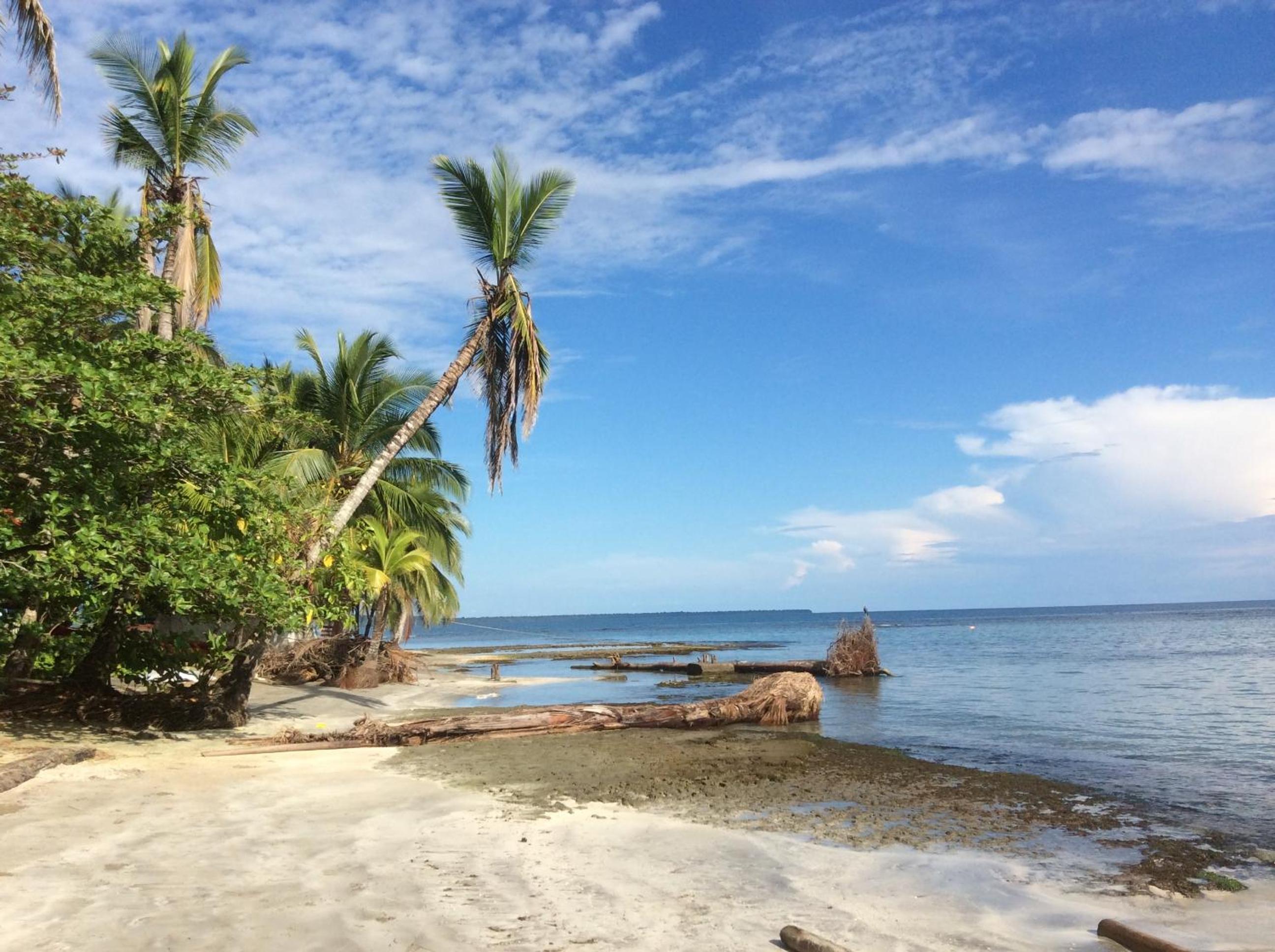 El Jardin de Playa Negra