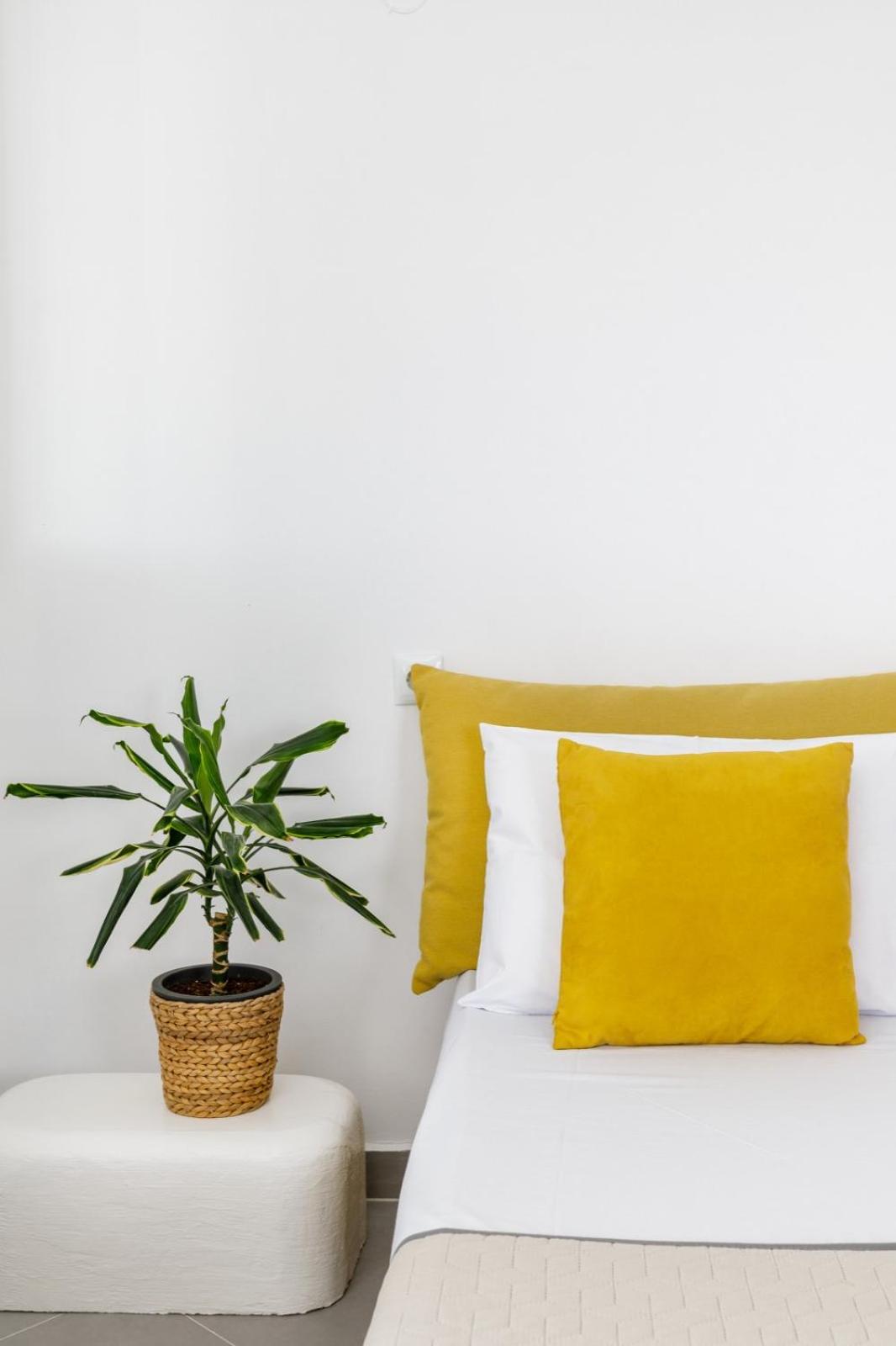 Photo 33