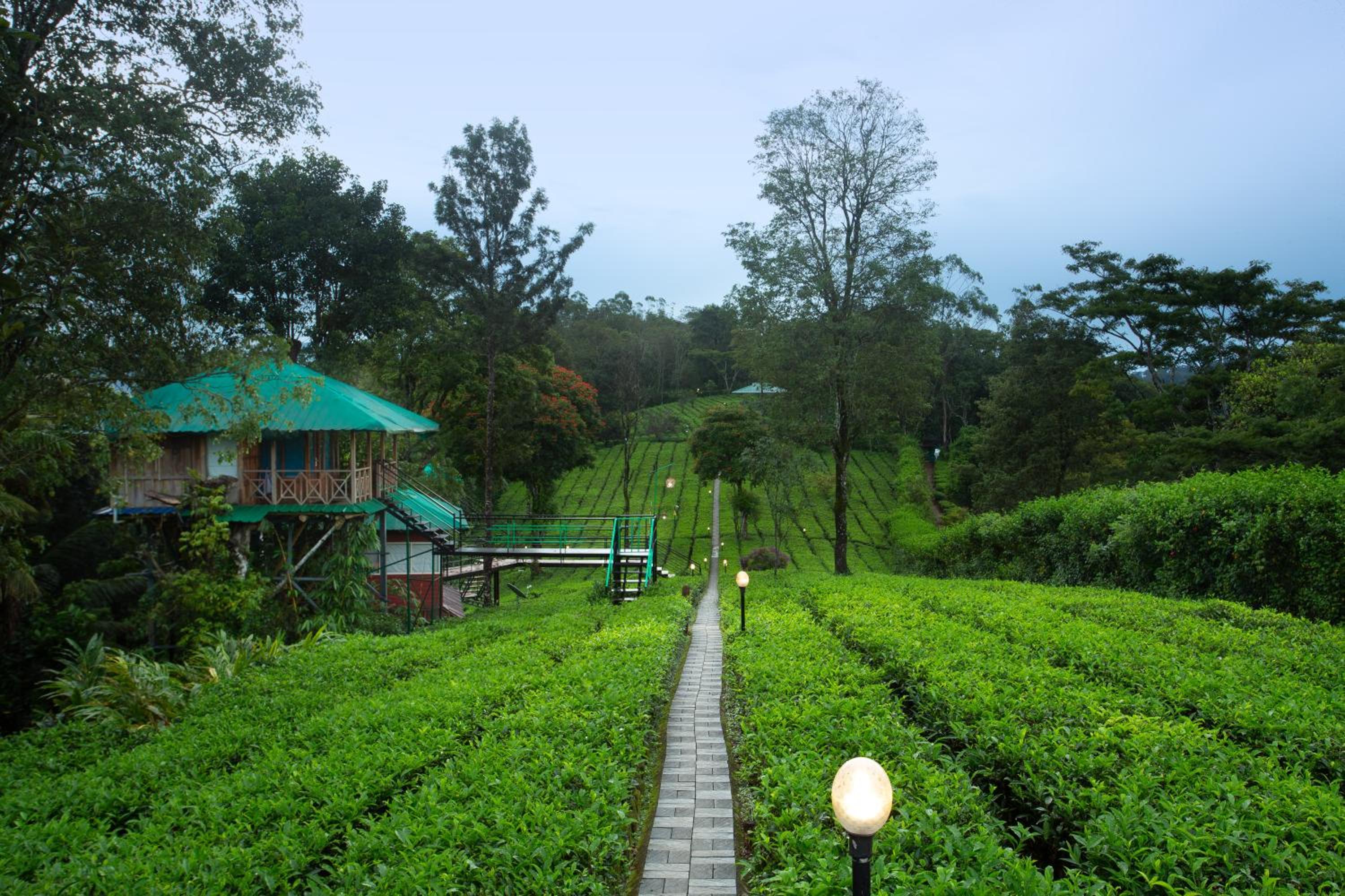 Dream Catcher Plantation Resort