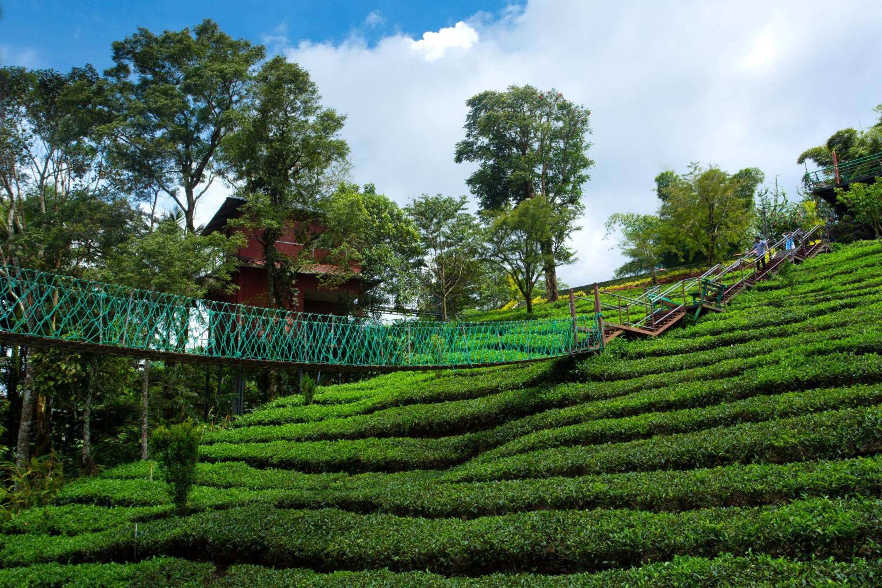 Dream Catcher Plantation Resort