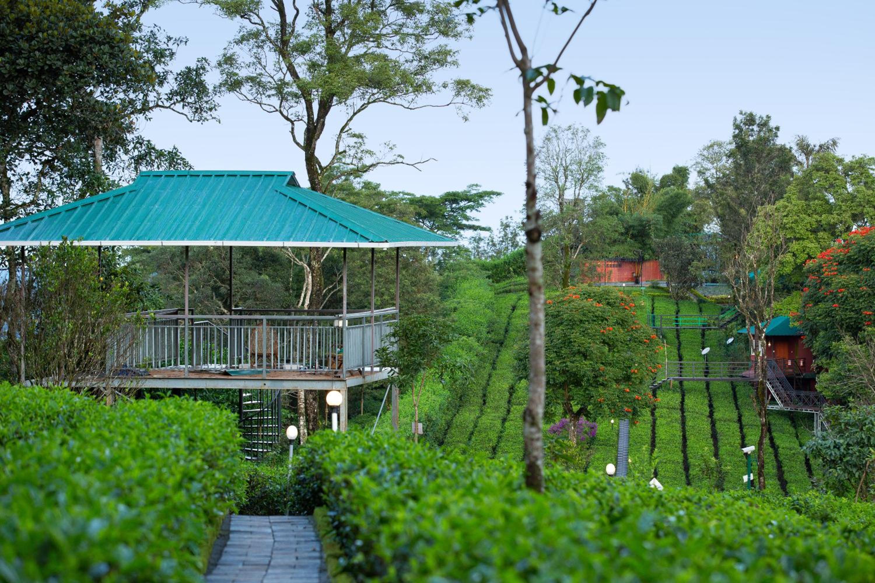 Dream Catcher Plantation Resort