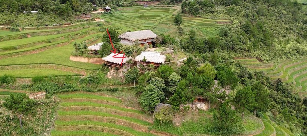 Hello Mu Cang Chai Homestay & Tours