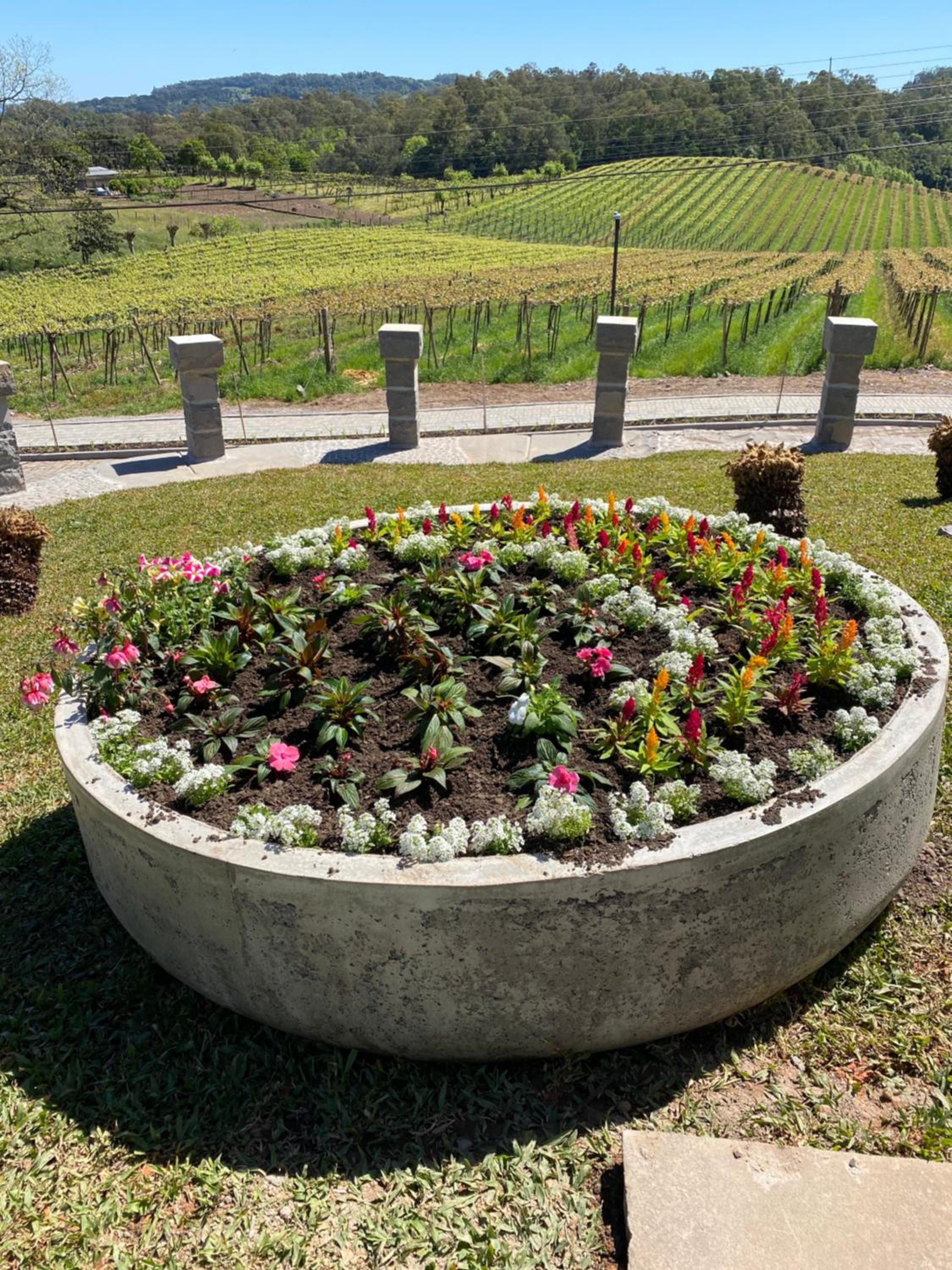 Vista Vigneti Albergo & Vino - Vale dos Vinhedos