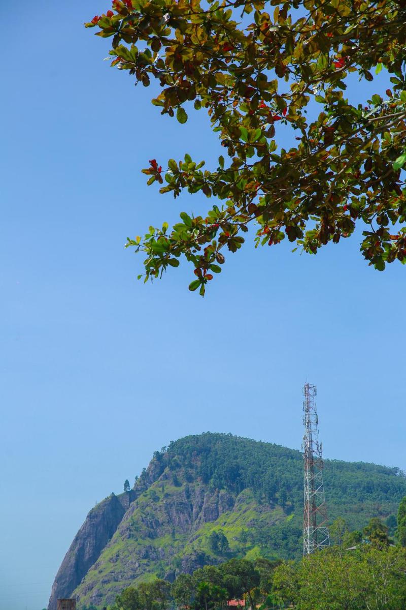 Ella Nature Resort view 5