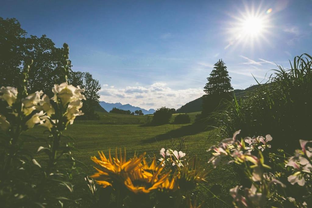 Fritzis Alpenidyll „Sommertraum & Winterromantik”