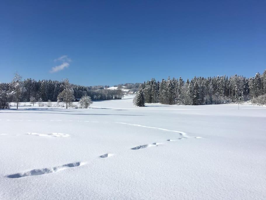 Fritzis Alpenidyll „Sommertraum & Winterromantik”