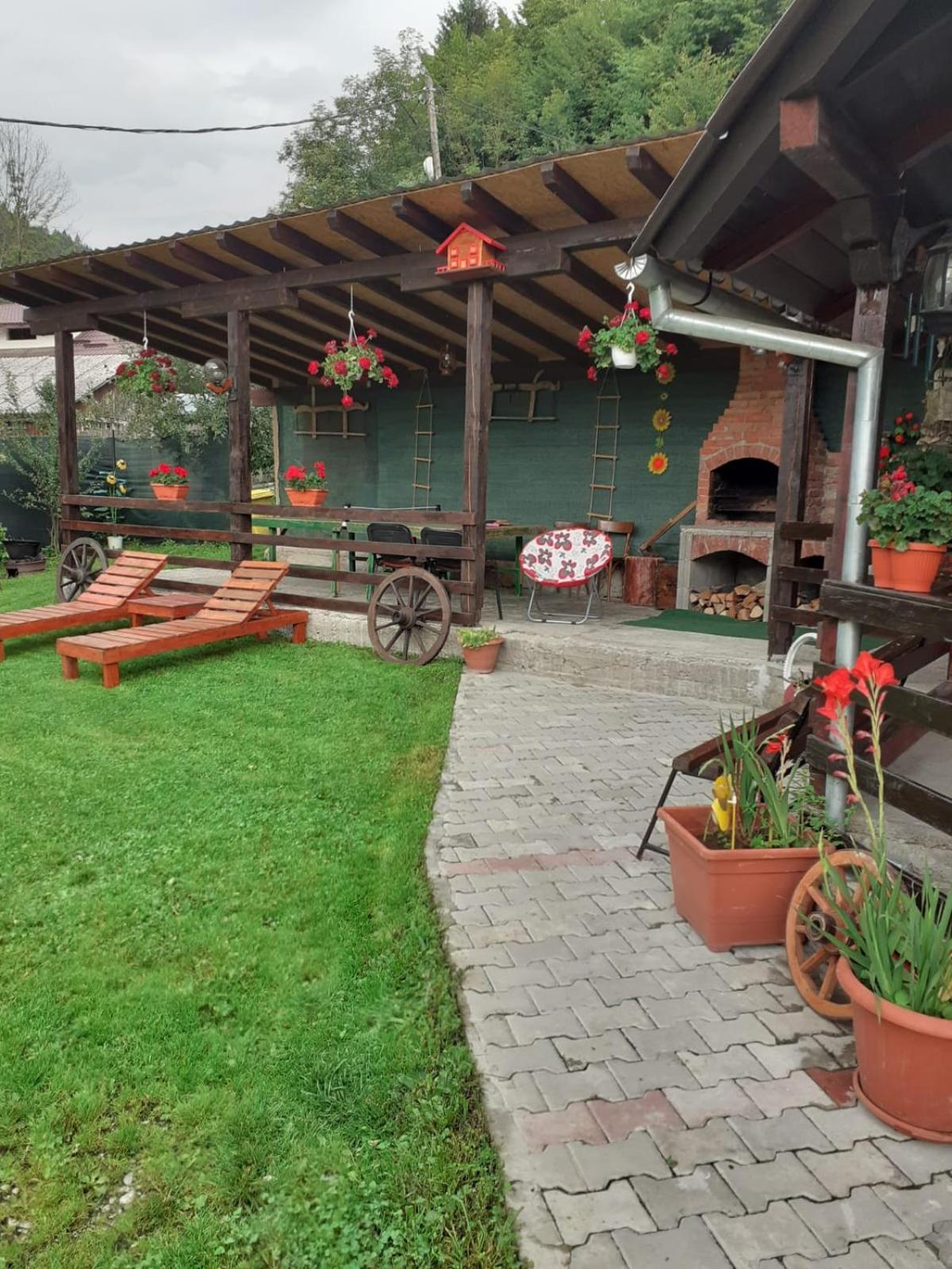 Photo 19