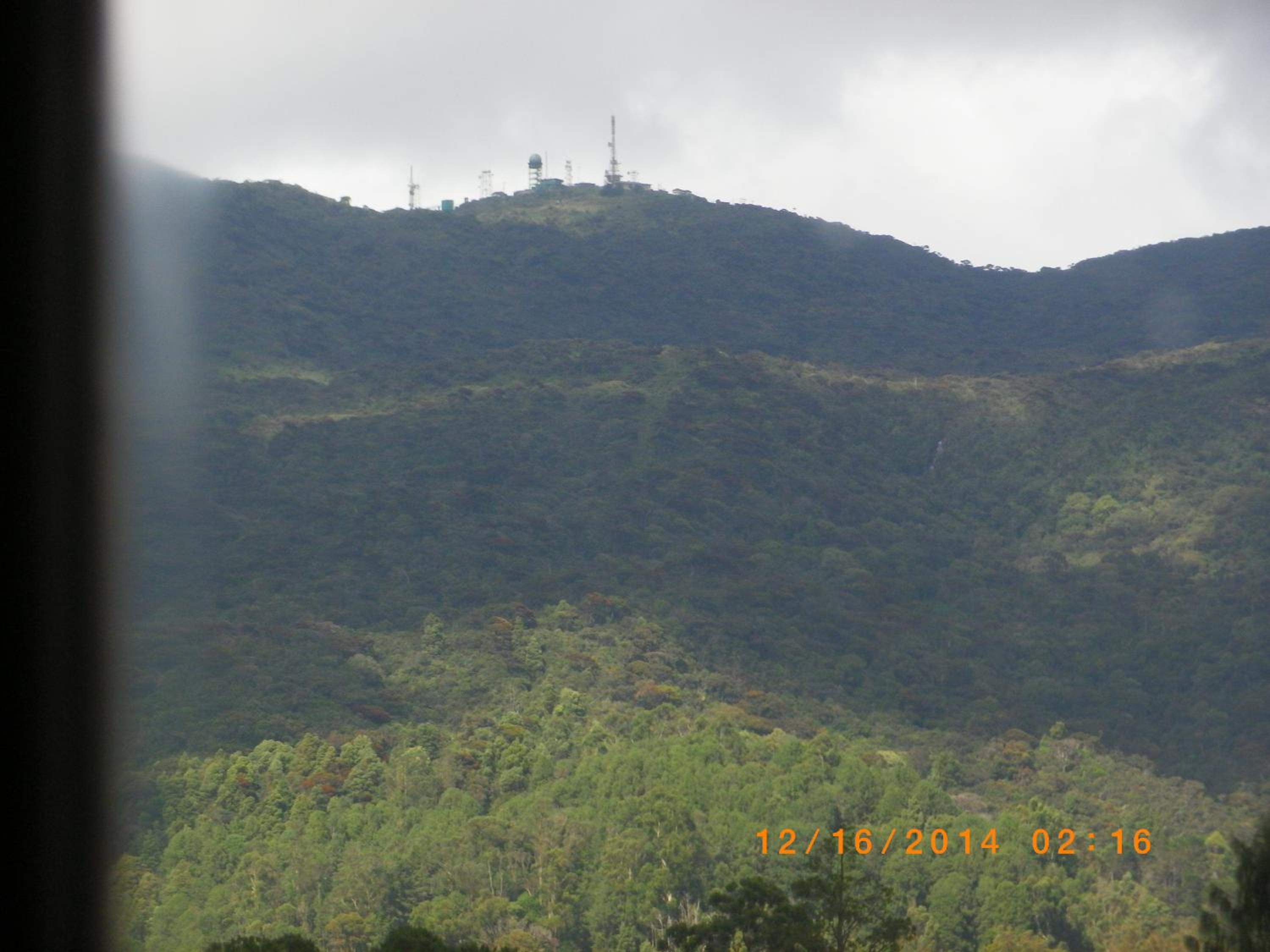 MANUDI Glenfallsedge Rest — photo 42