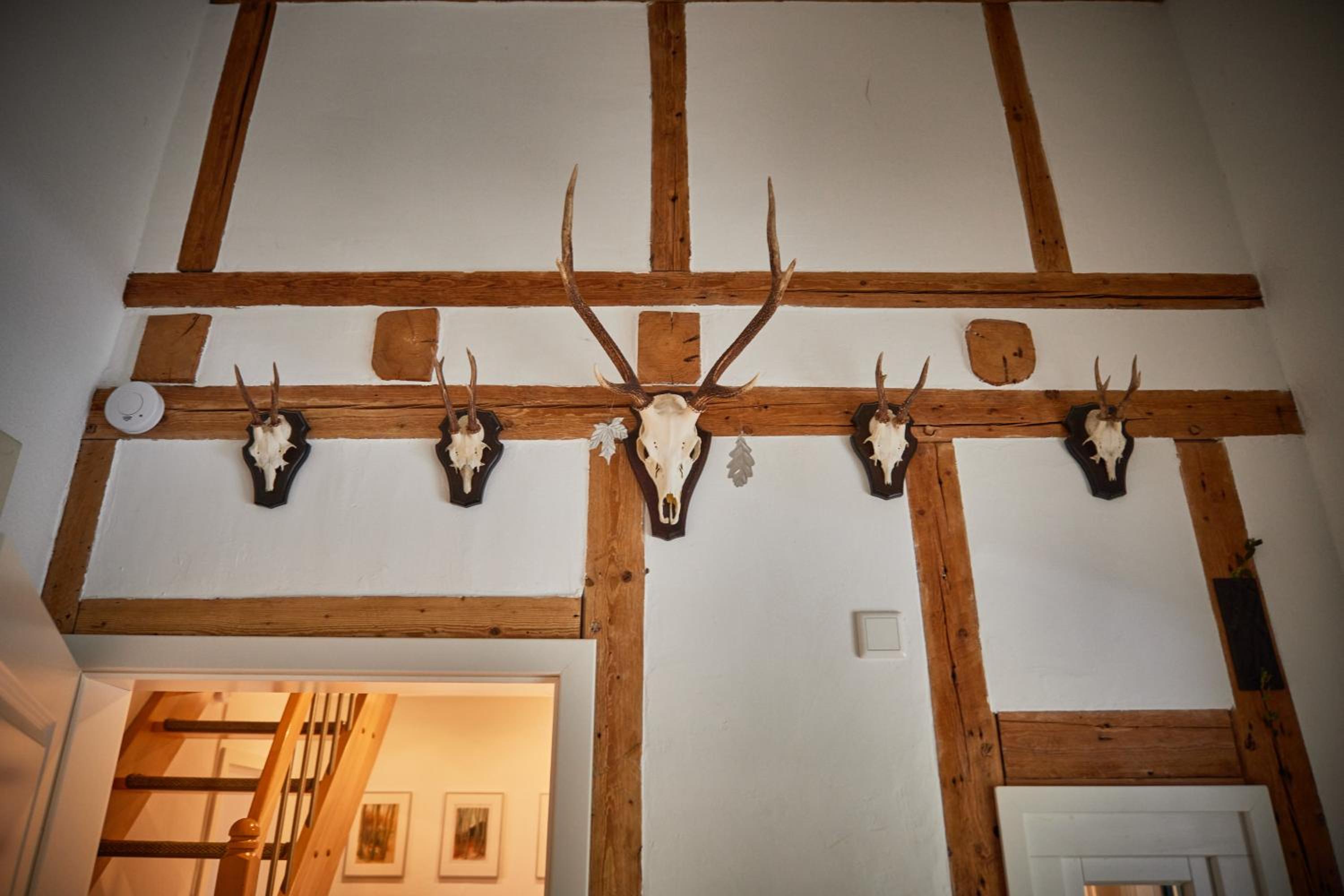 Ferienhaus Asten-Lodge
