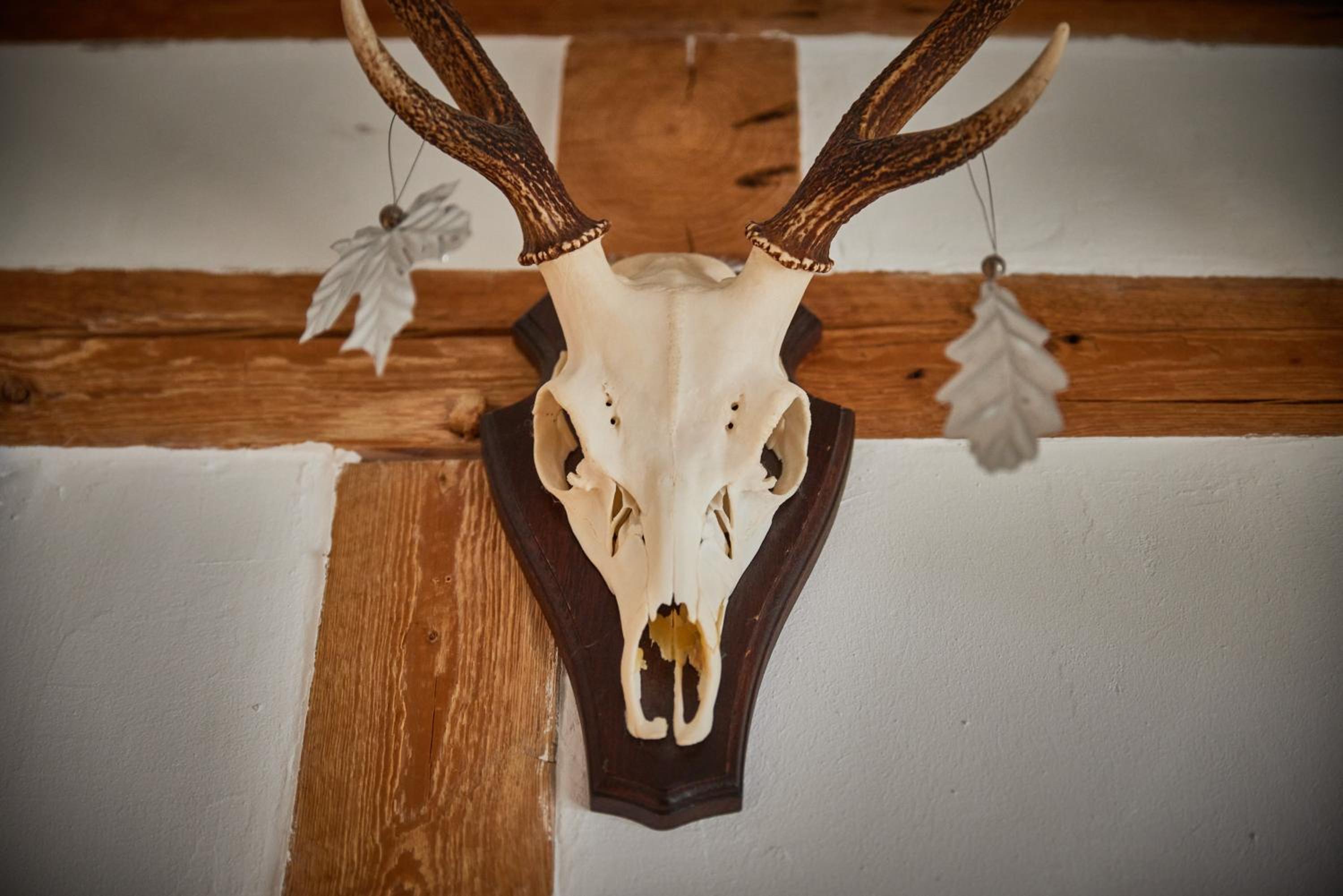 Ferienhaus Asten-Lodge