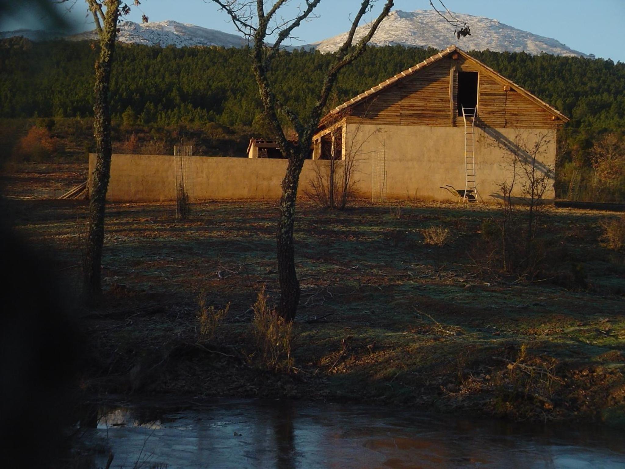 Photo 20