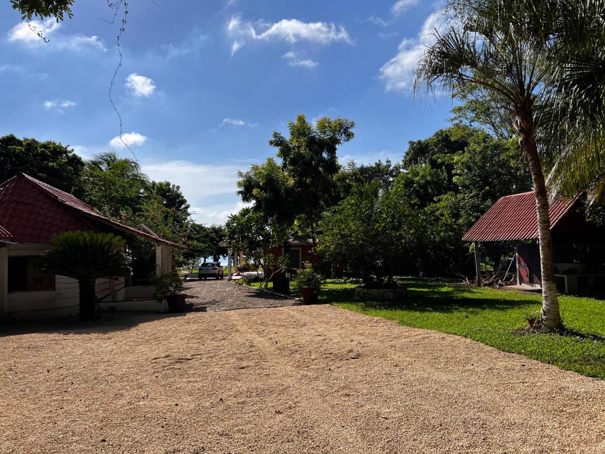 children's play area