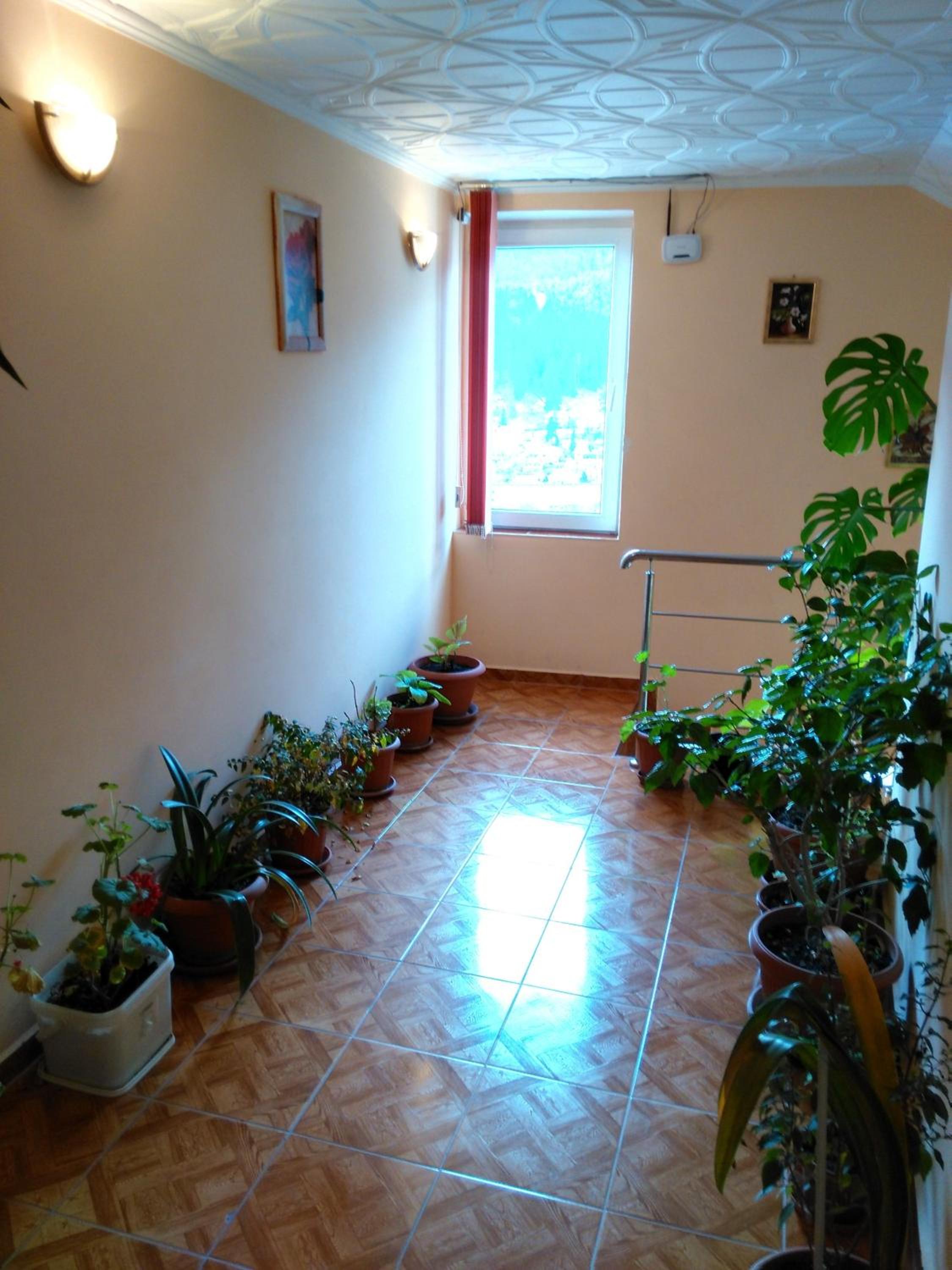 Photo 51