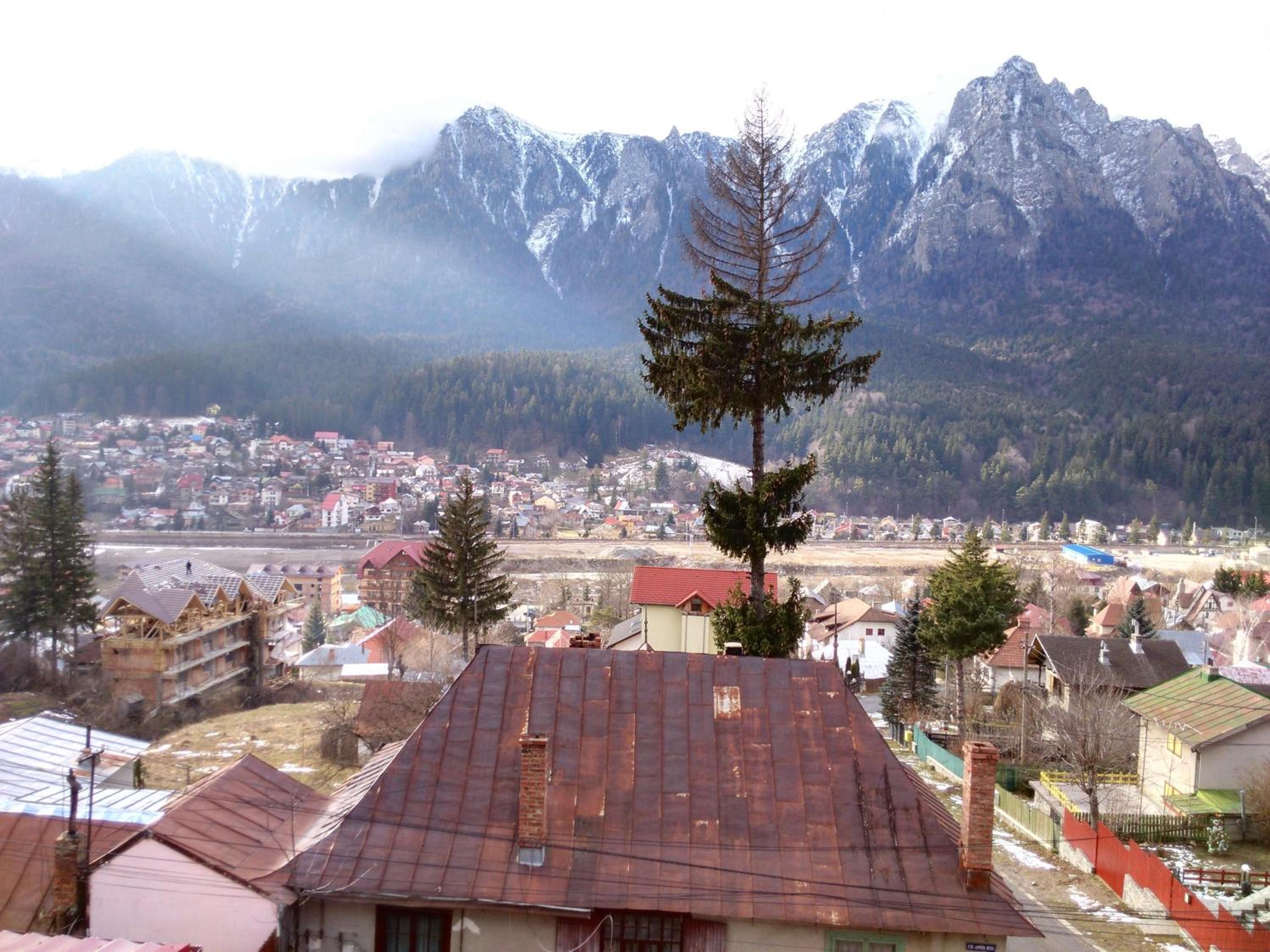 Photo 49
