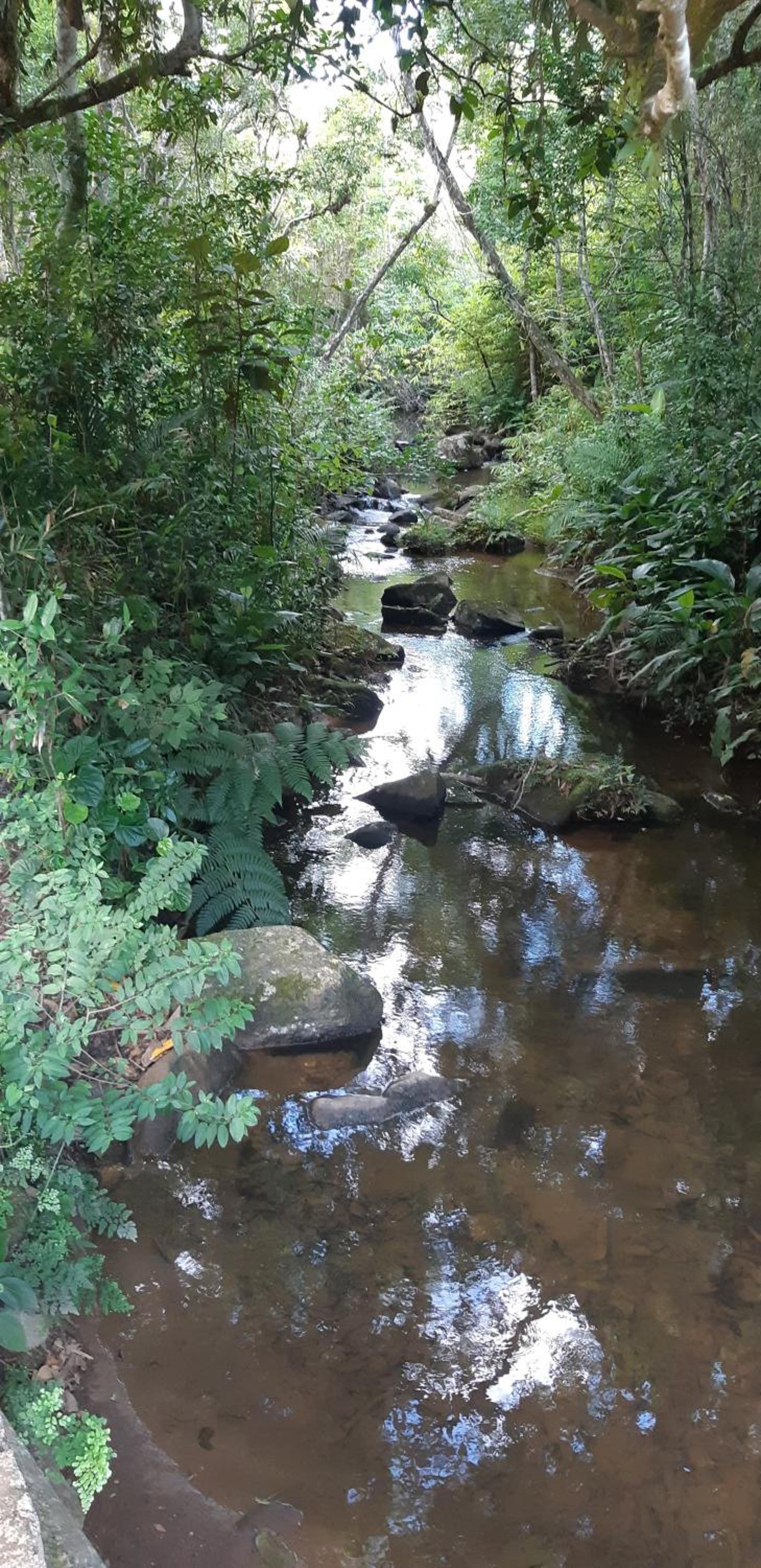Photo 42