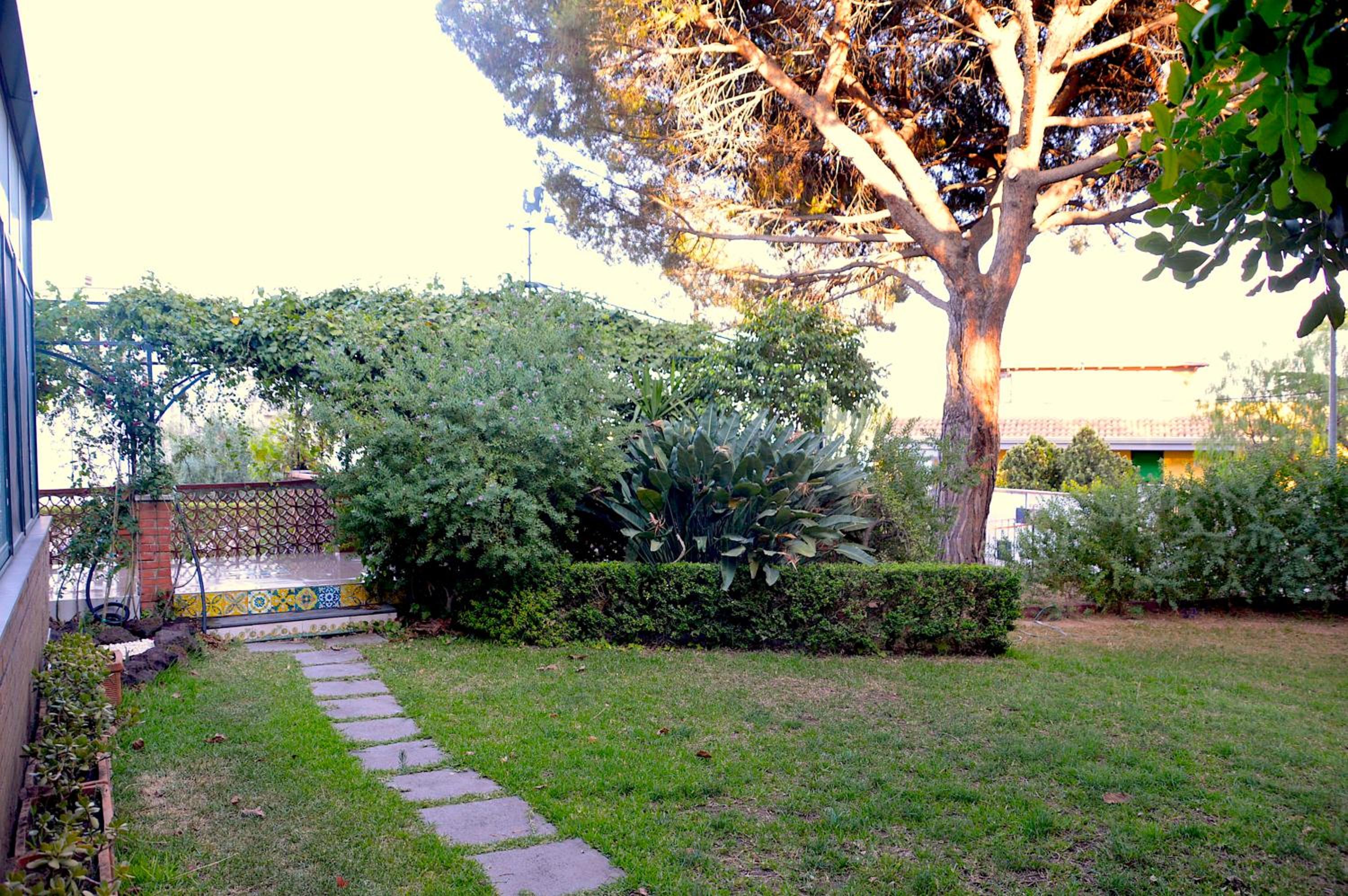 Photo 36