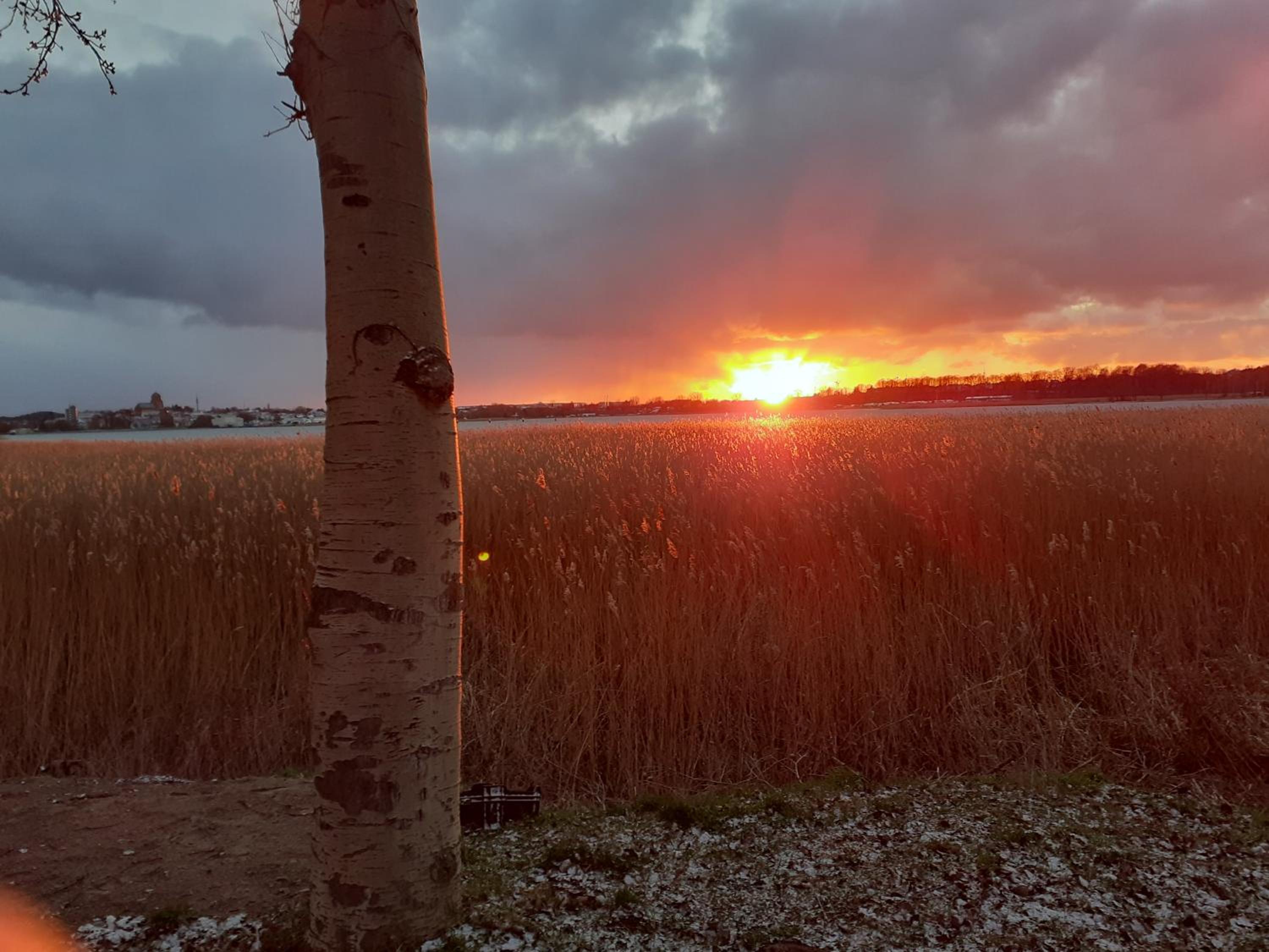 Fewo Usedom Peene Idyll