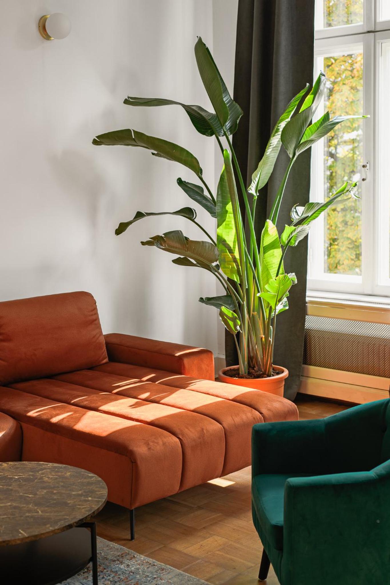 oompH Koszyki Luxurious Apartments view 2