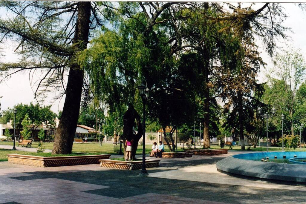 Unelem Tupungato