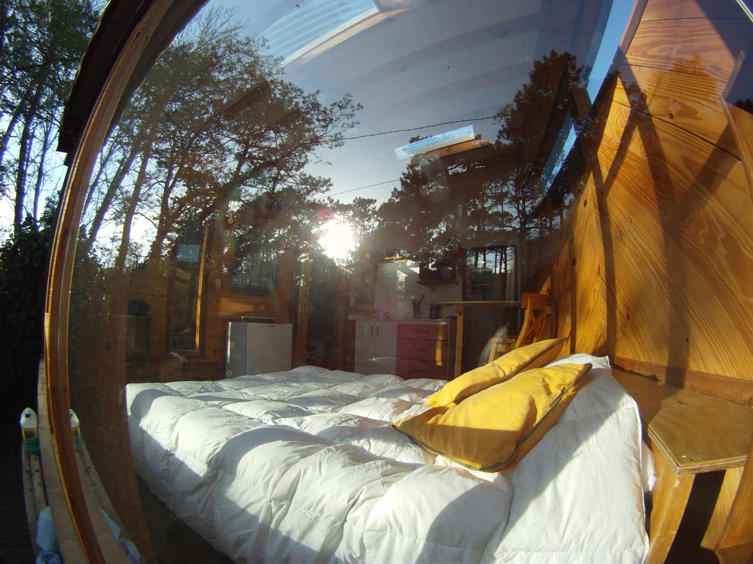 Del Bosque Surf Ranch