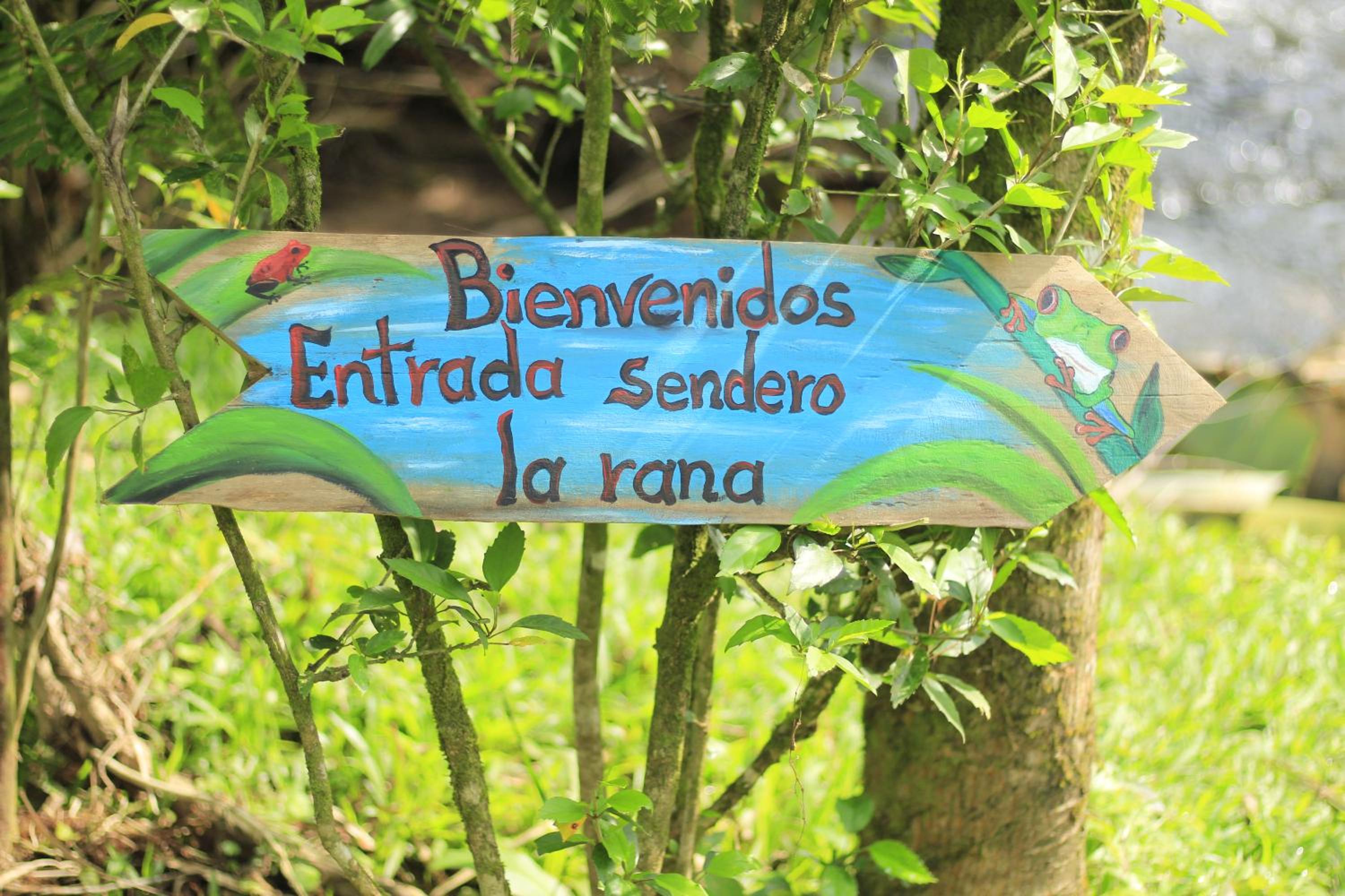 La Casa del Río/La Fortuna/Volcán Arenal