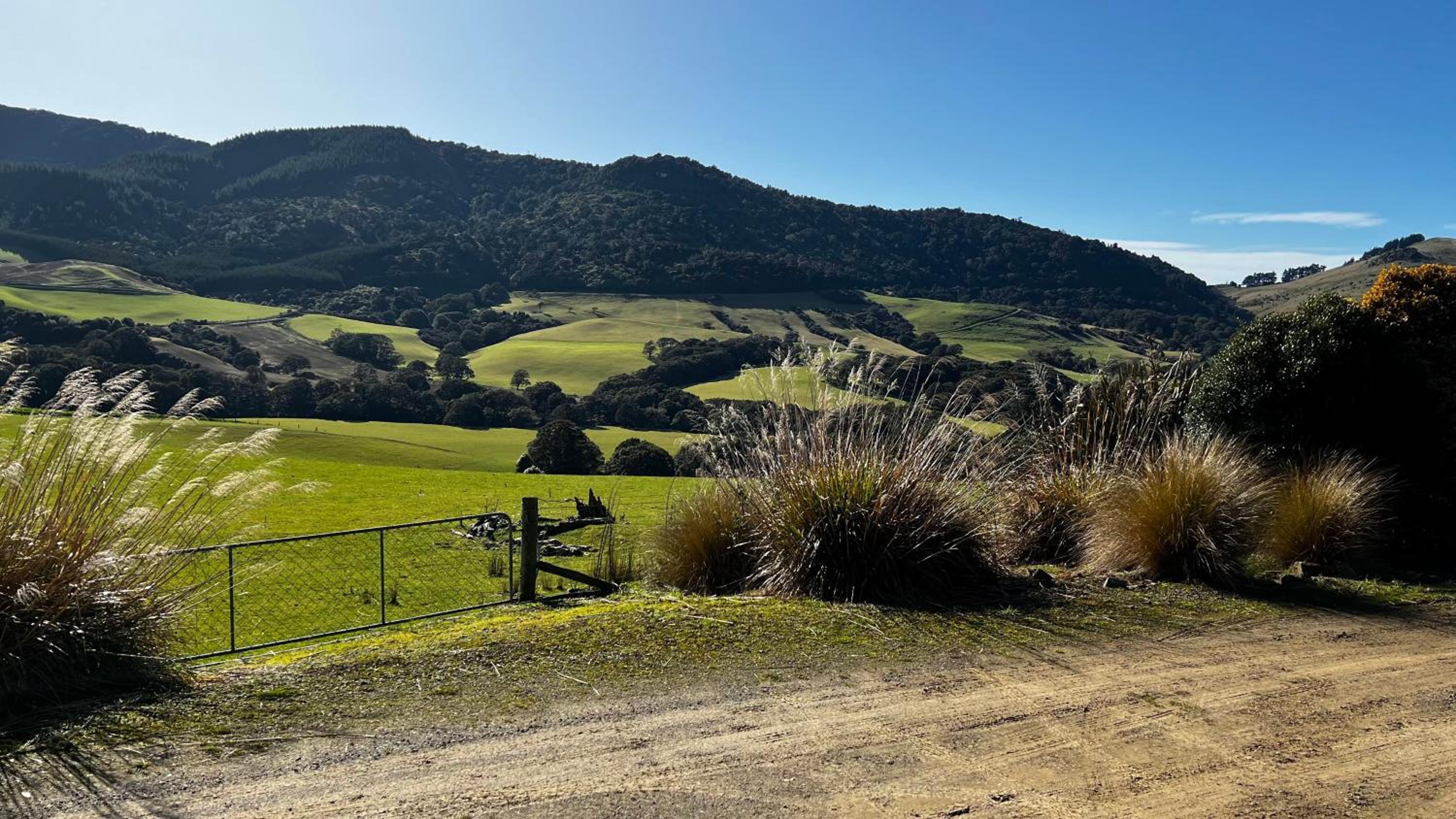 Mohua Park - Catlins Eco Accommodation