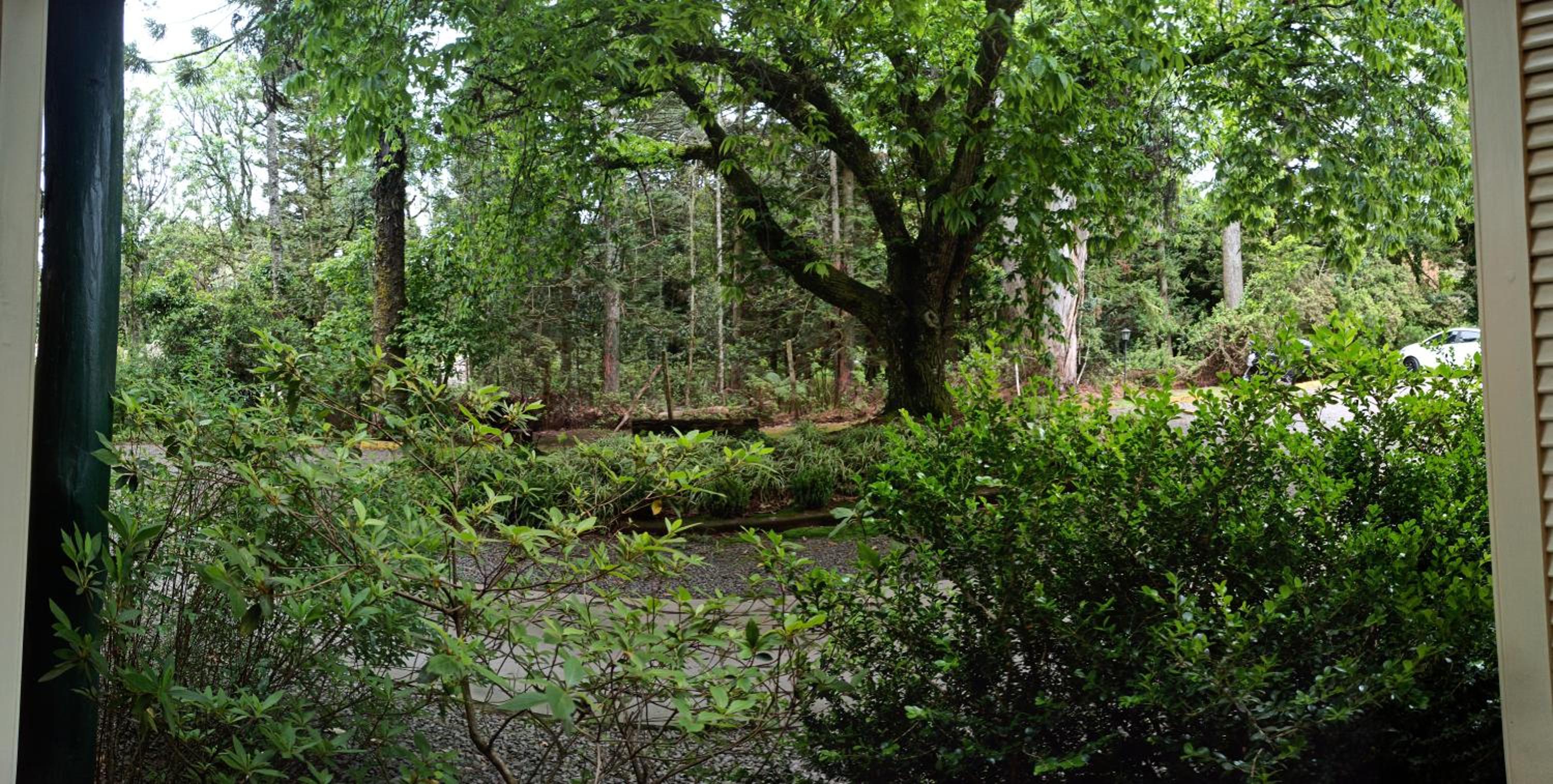 O Fada da Floresta é seu refúgio p/ até 4 pessoas view 3