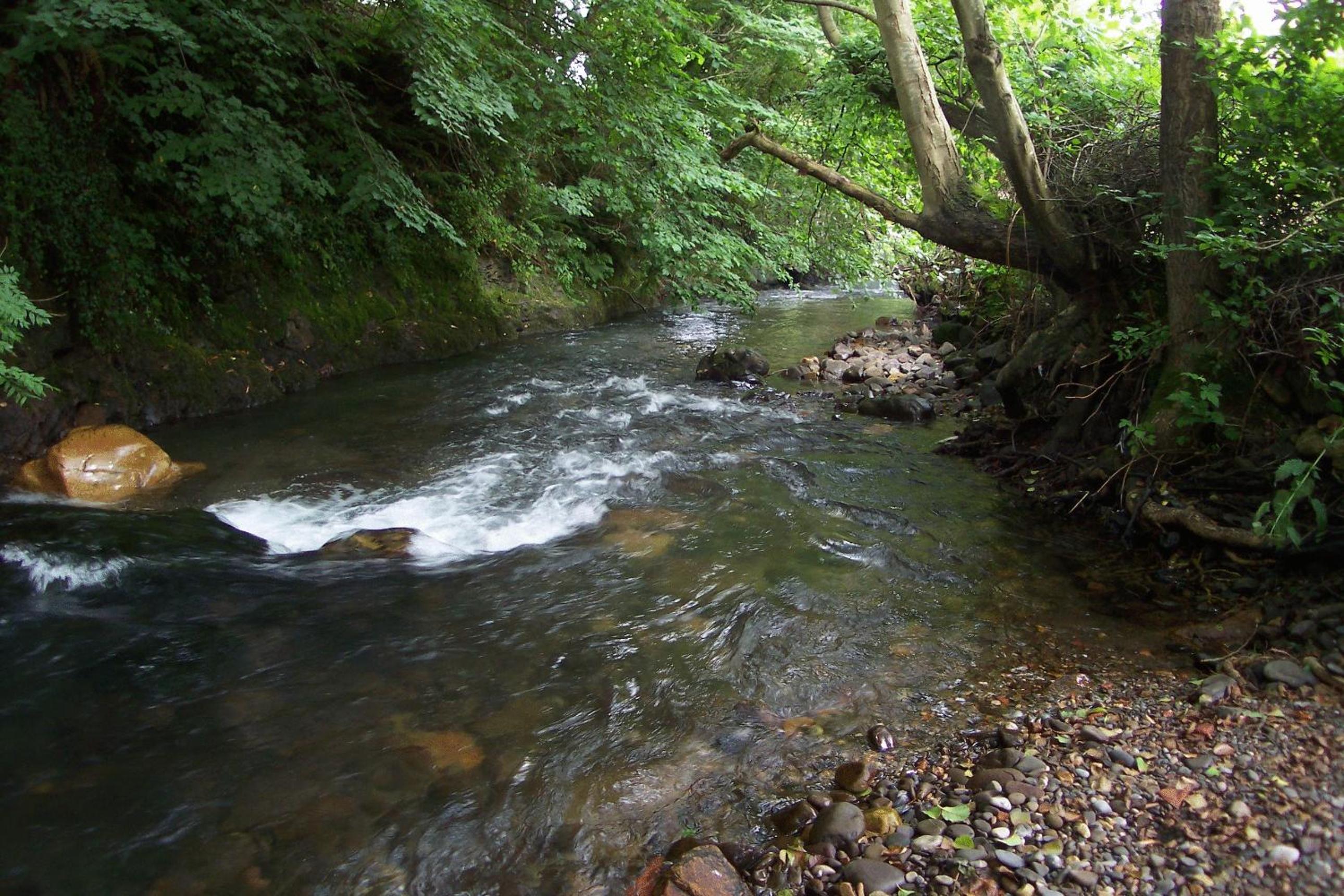 Corrada de Torales