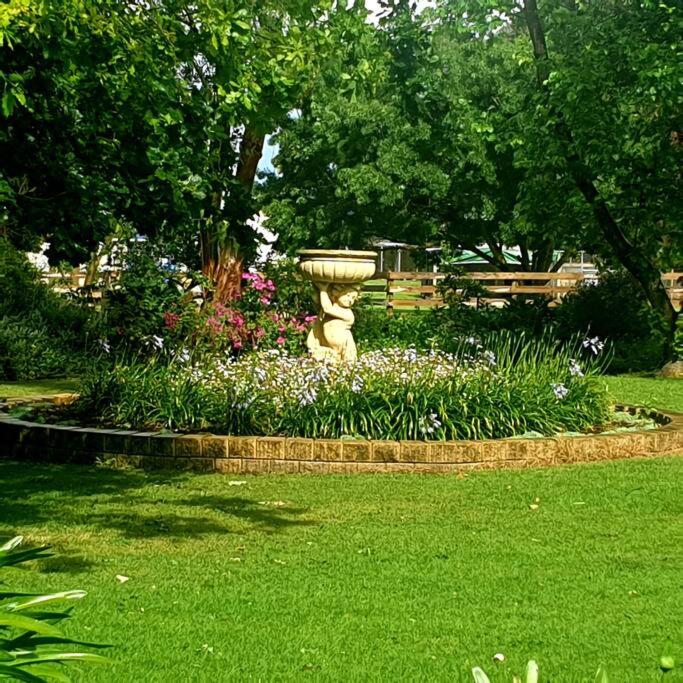 Belleview Bushfield