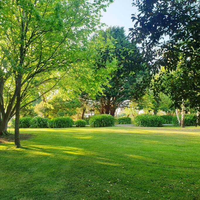 Belleview Bushfield