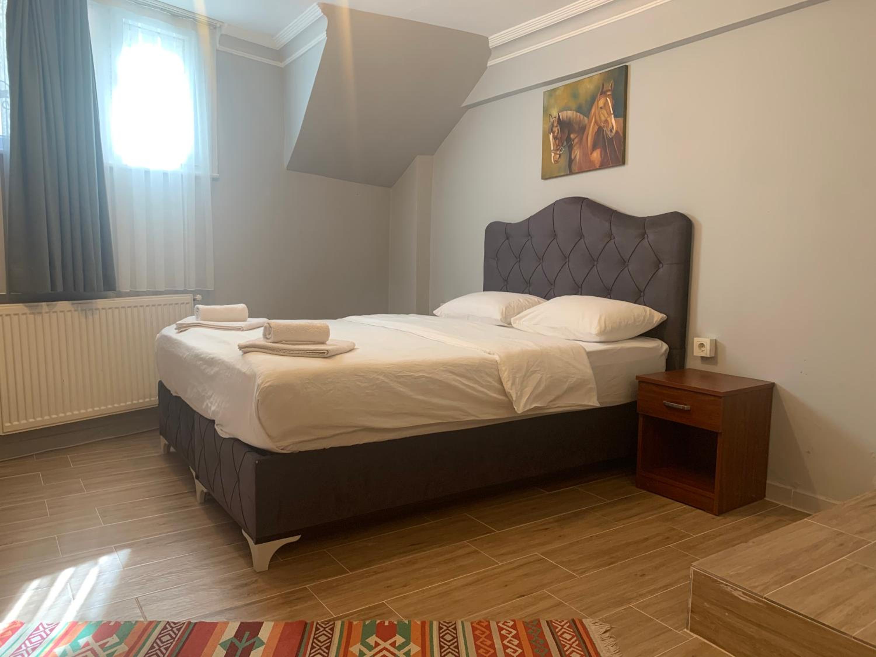 Pine Stone Apart Hotel Sultanahmet - Image 29