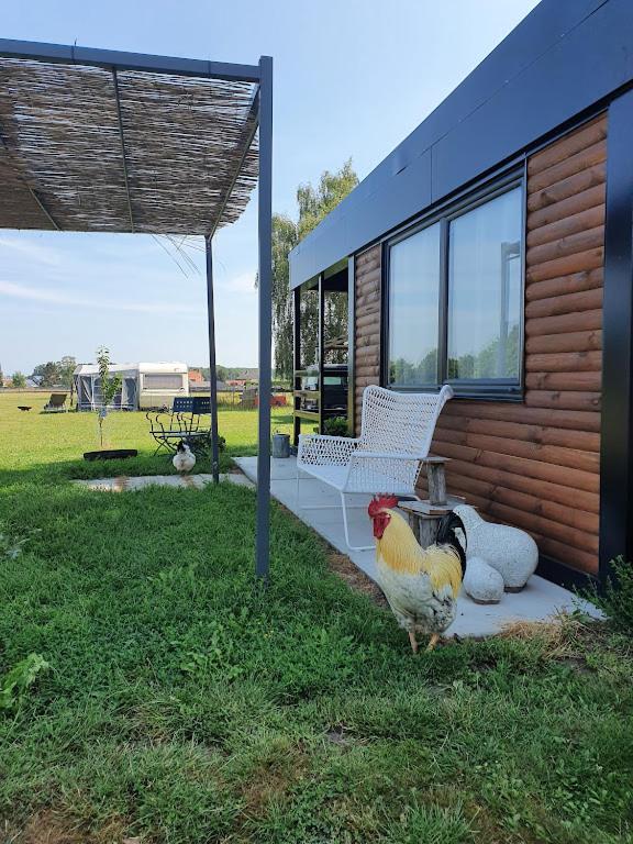 Houten huisje tussen paarden