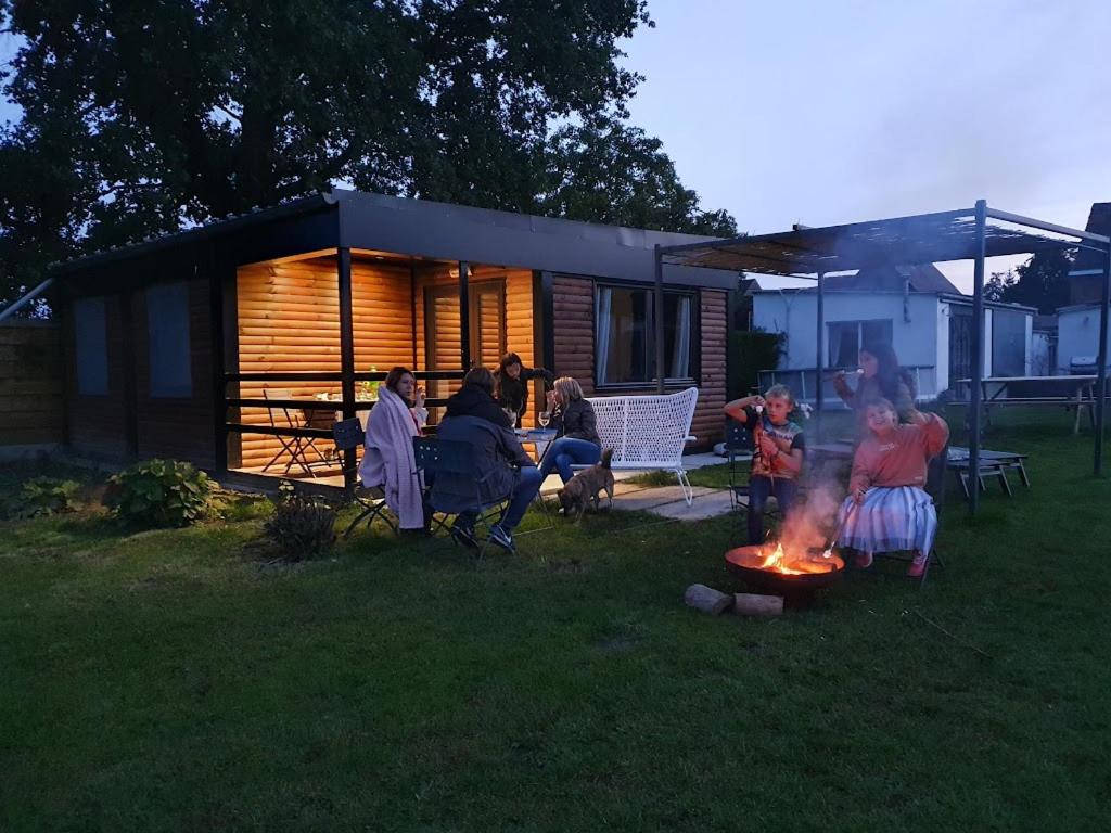 Houten huisje tussen paarden