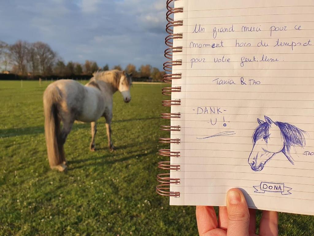 Houten huisje tussen paarden