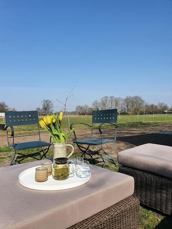 Houten huisje tussen paarden
