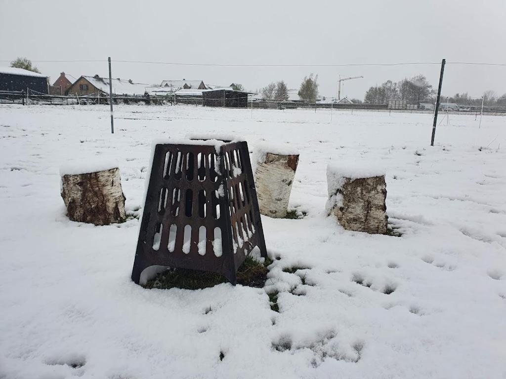 Houten huisje tussen paarden