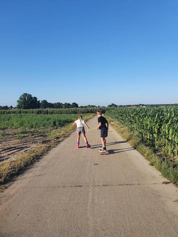 Houten huisje tussen paarden