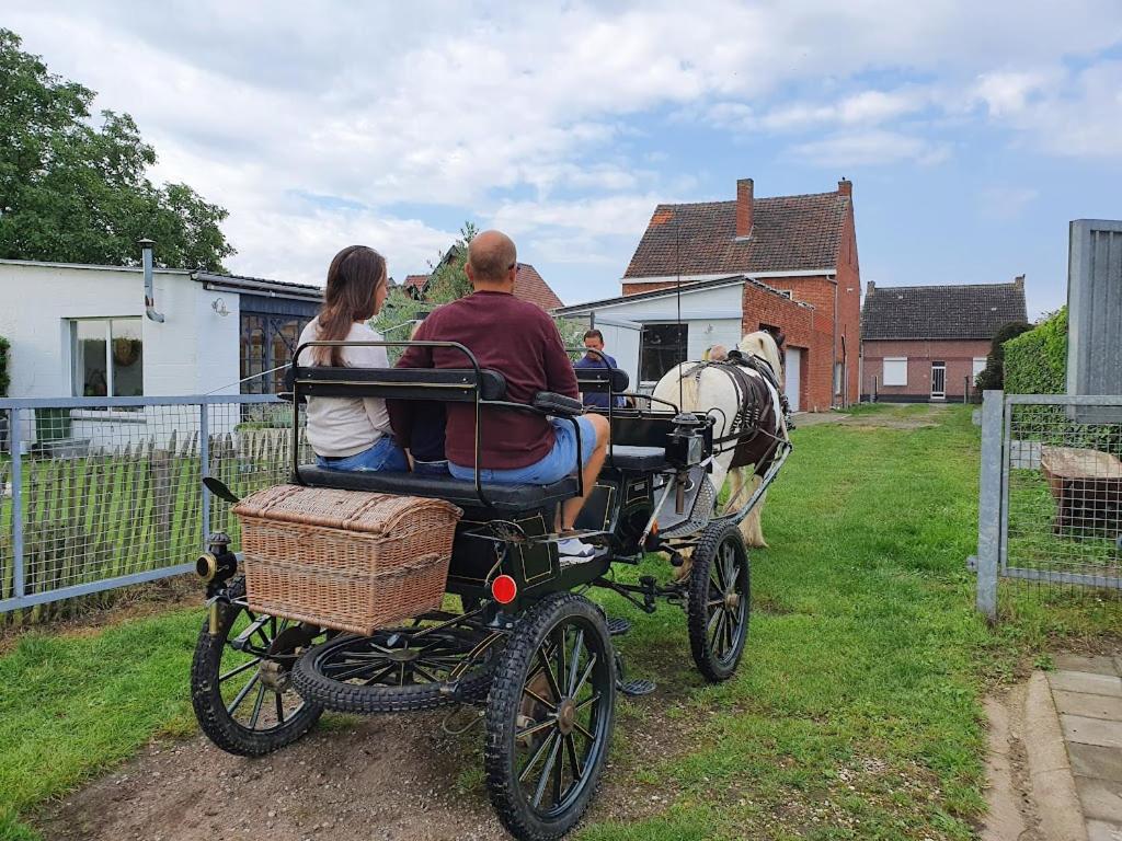 Houten huisje tussen paarden