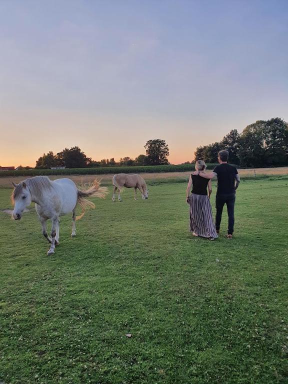 Houten huisje tussen paarden