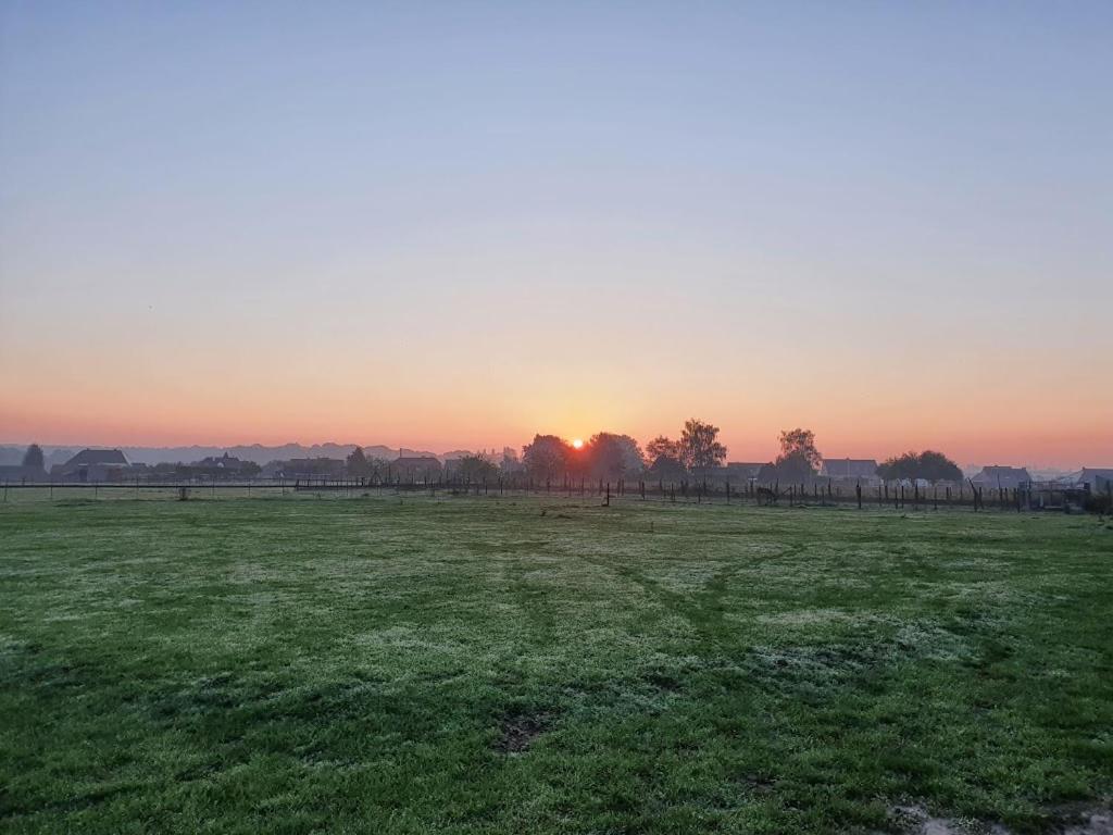 Houten huisje tussen paarden
