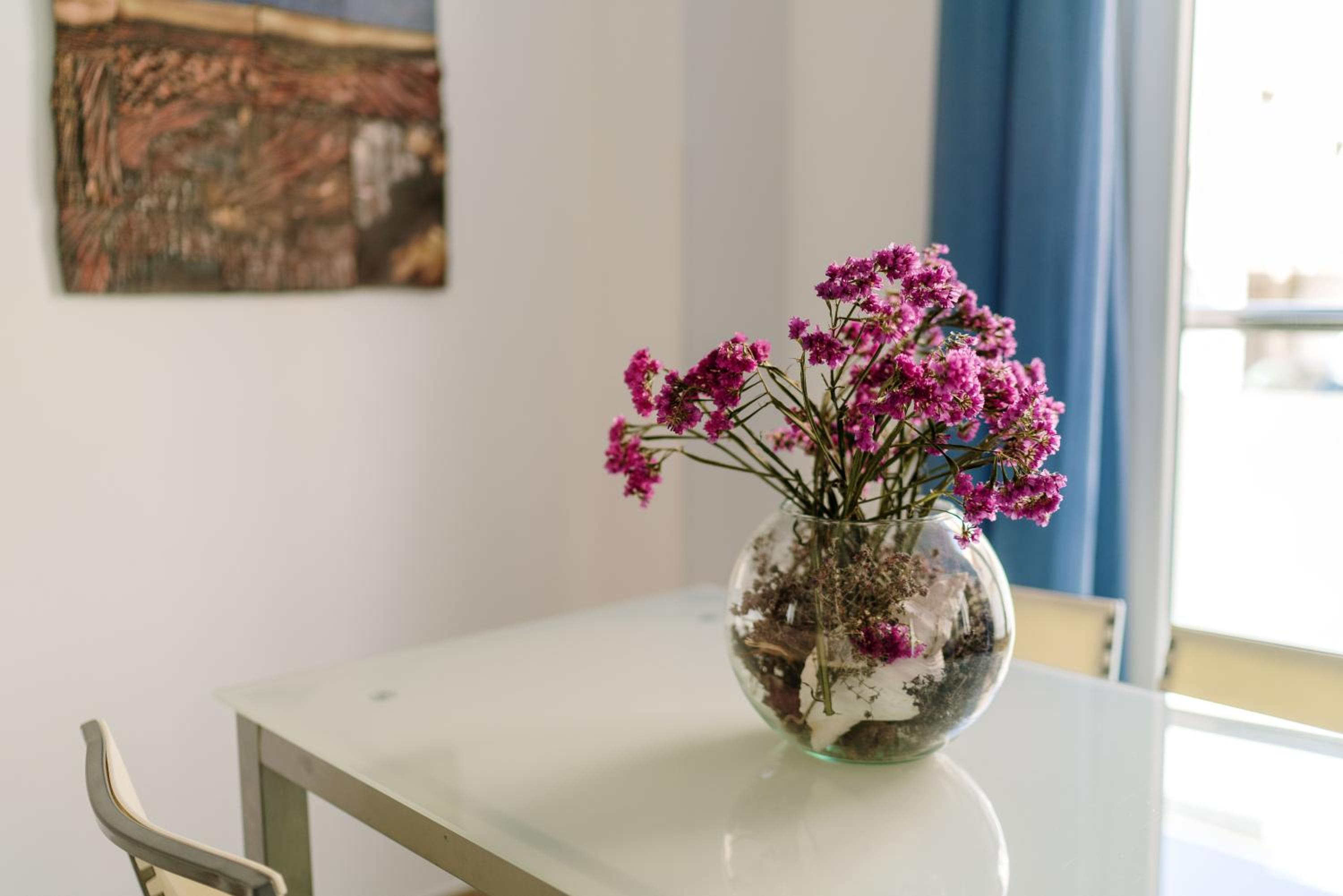 Apartamentos Delamar