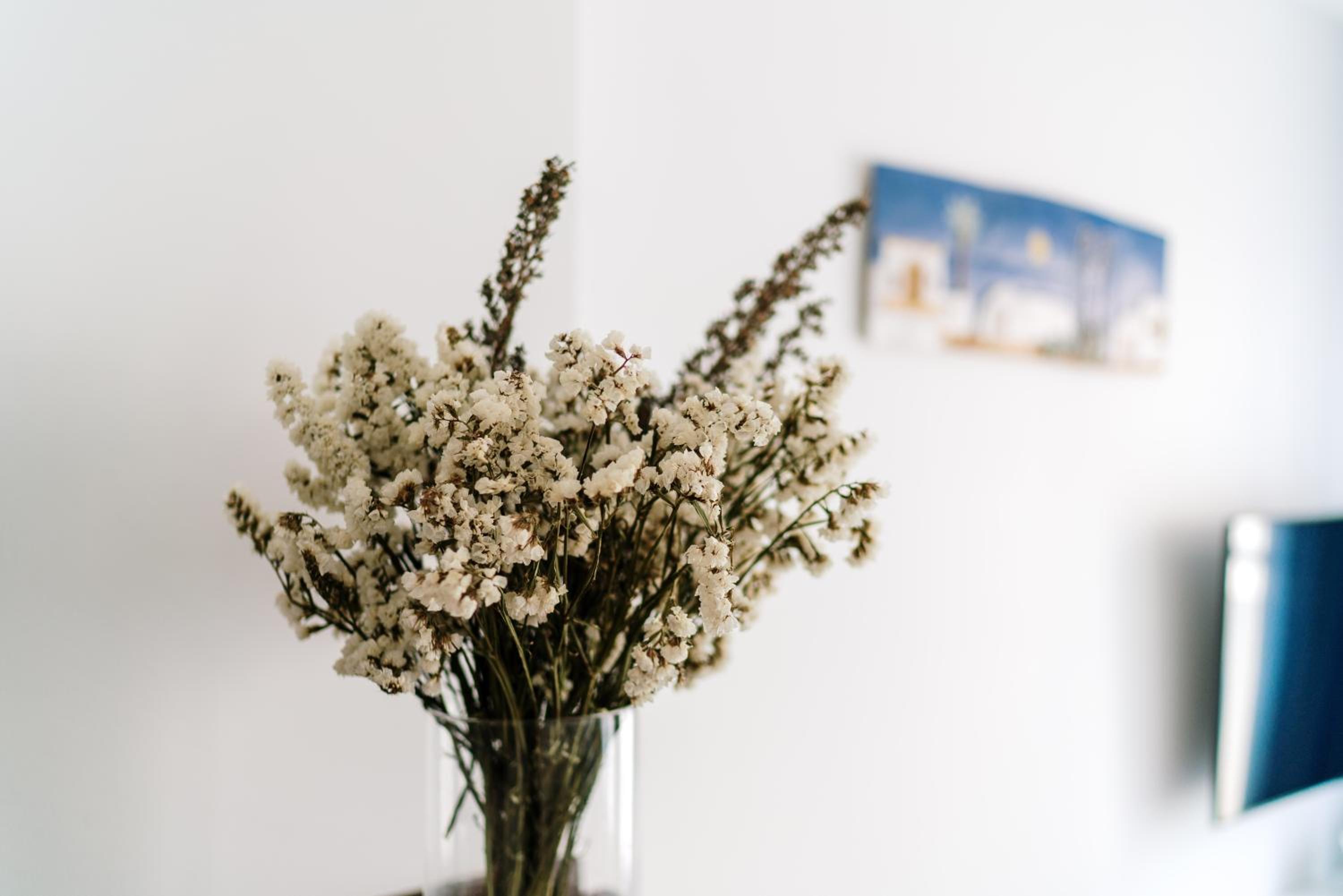 Apartamentos Delamar