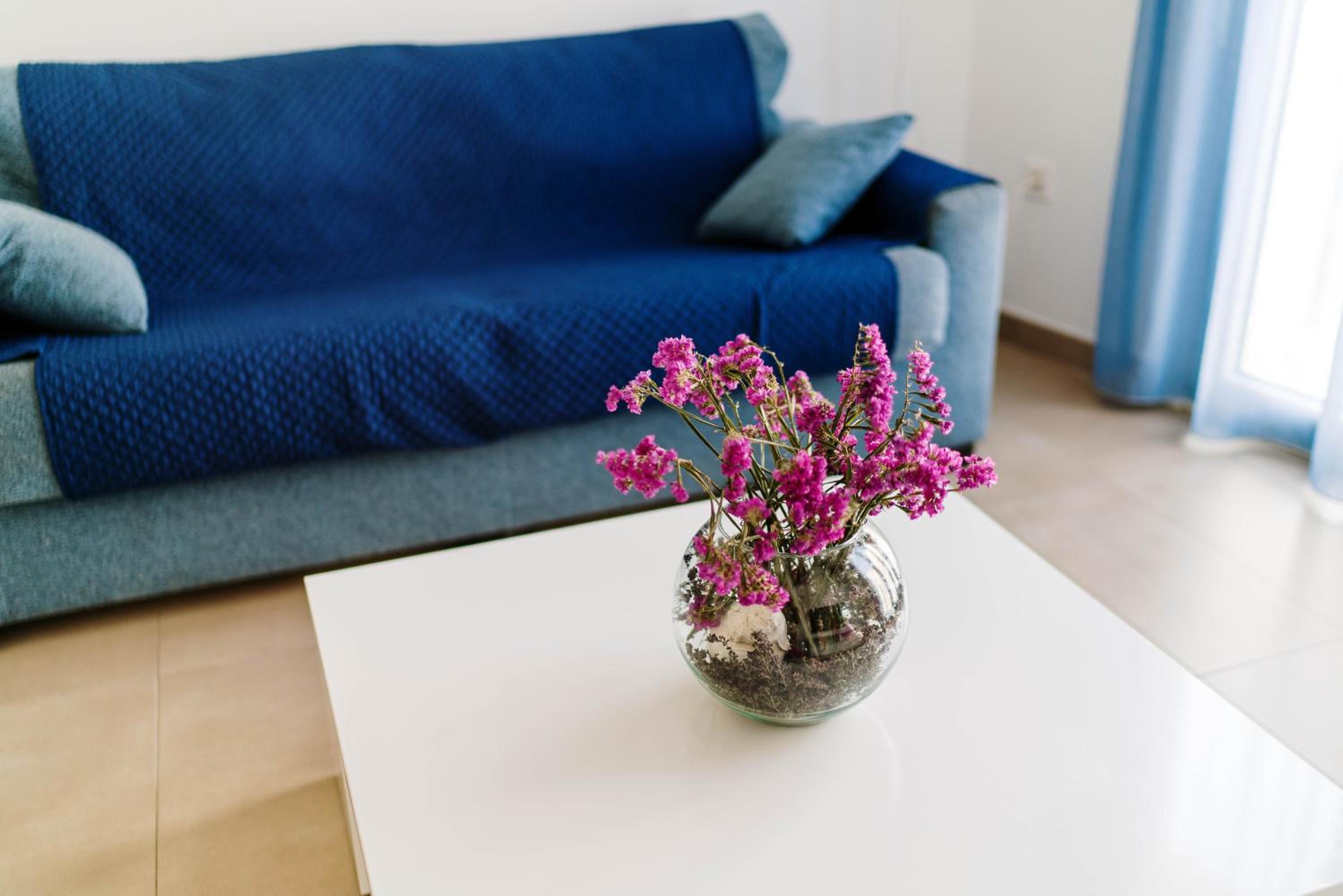 Apartamentos Delamar