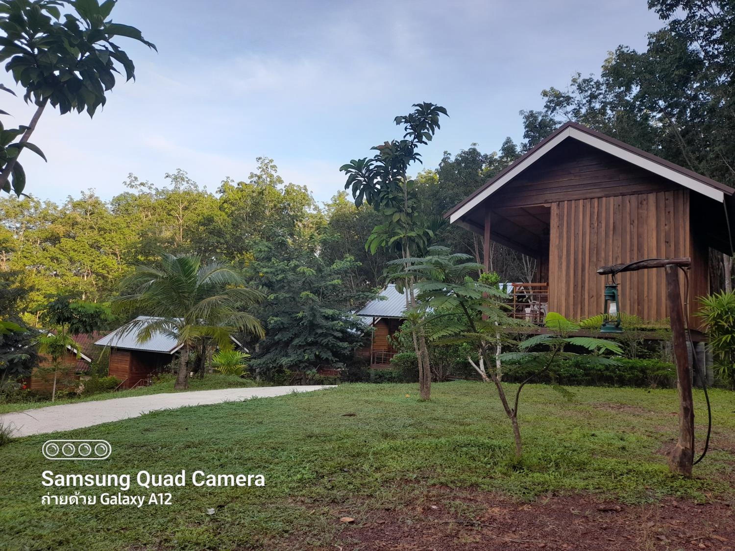 Lanta pour cabane — photo 4