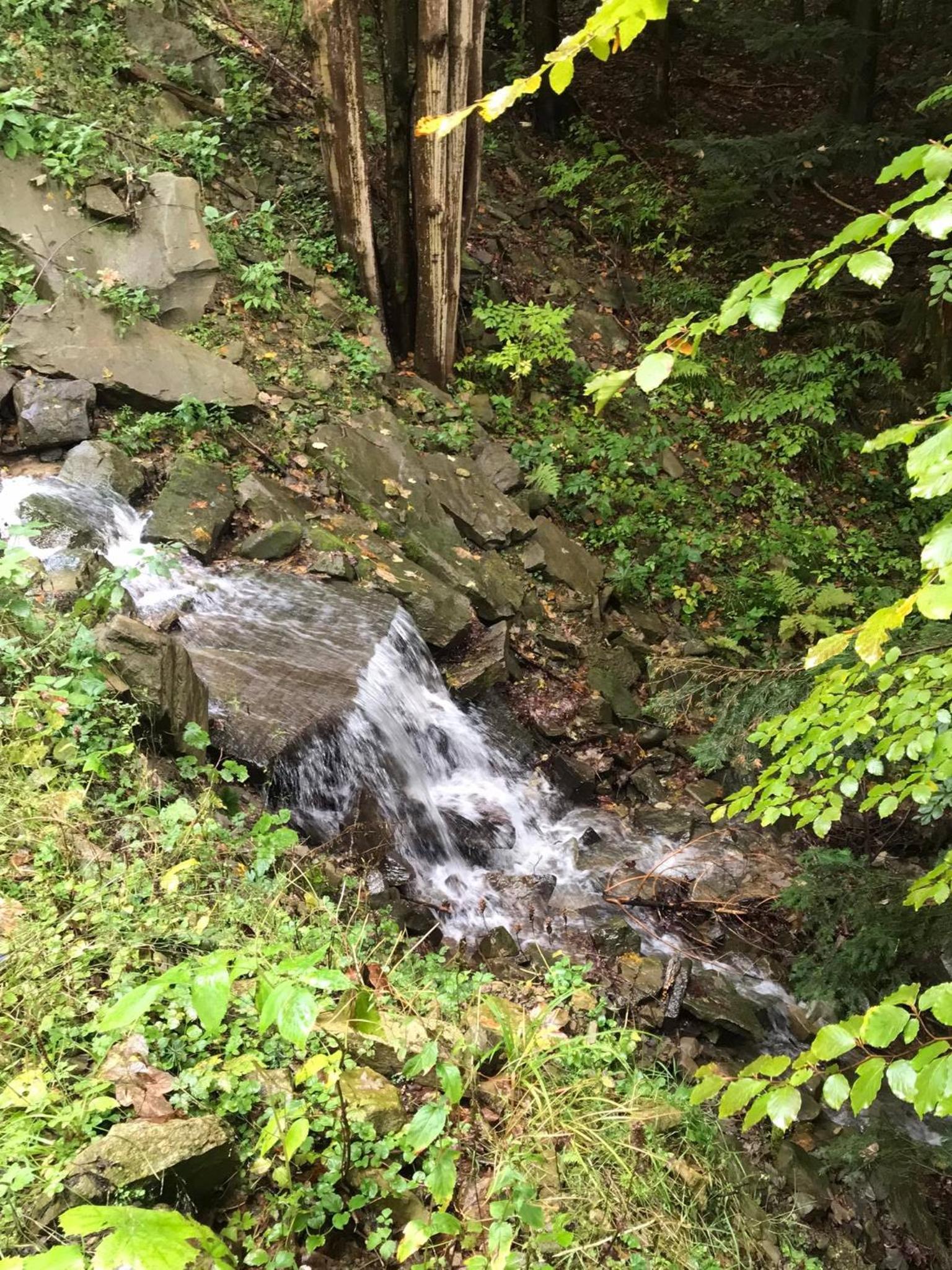 Photo 31