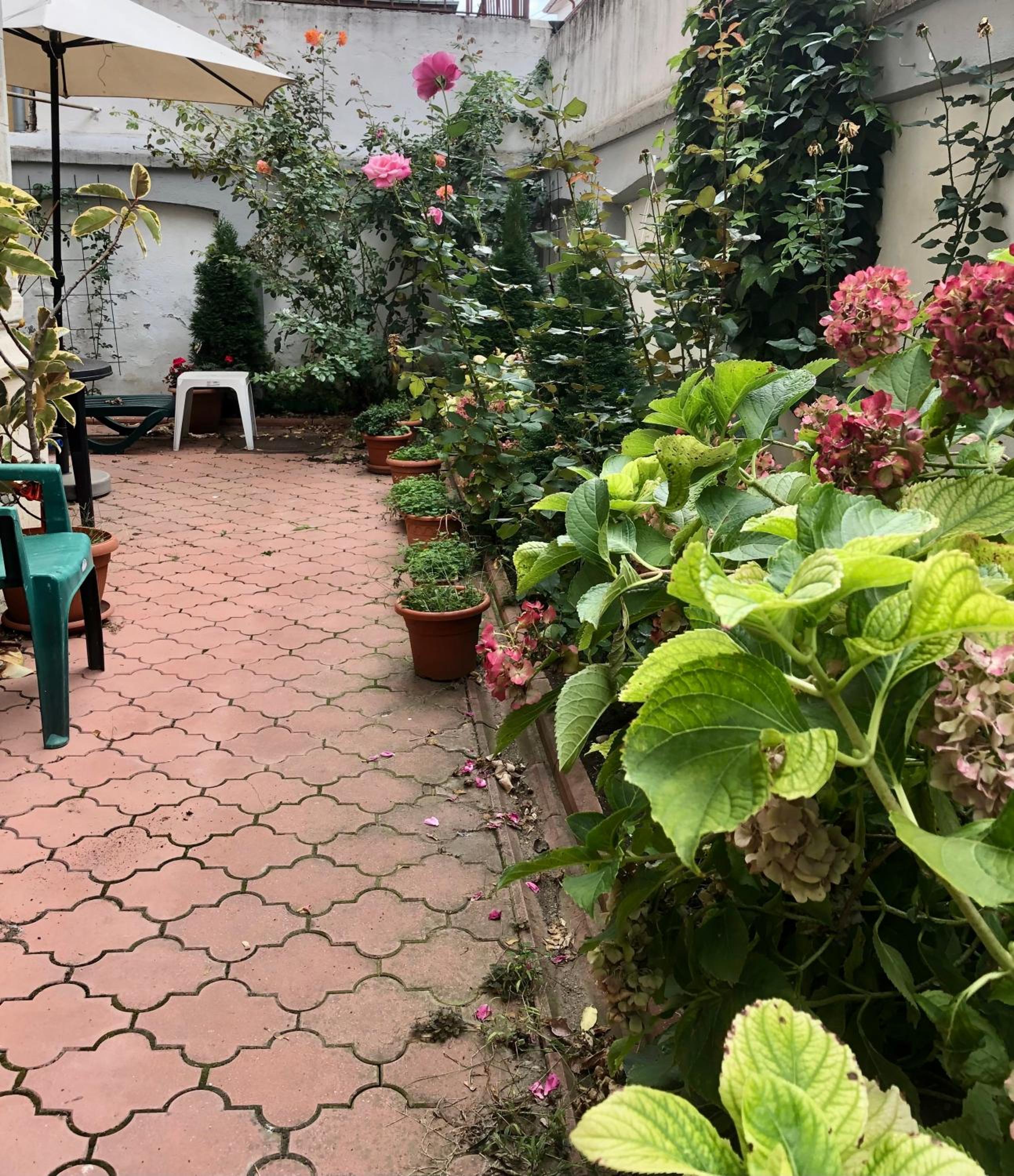 Photo 28