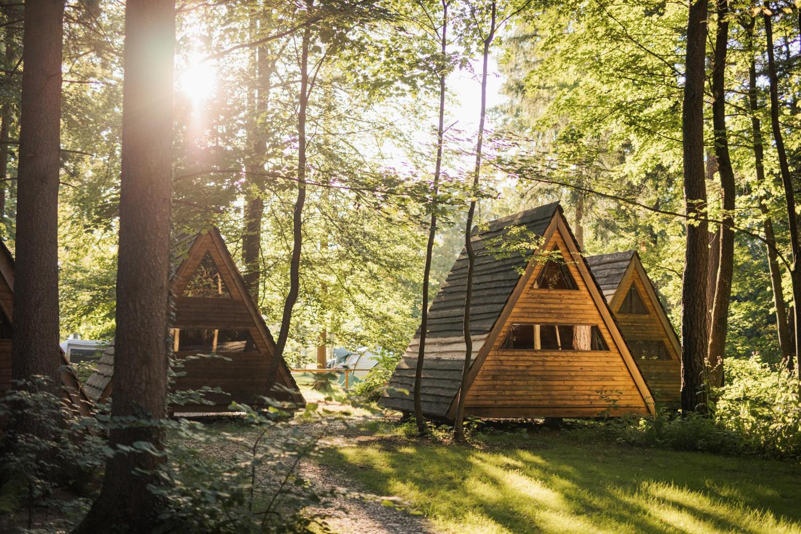 Forest Camping Mozirje view 4